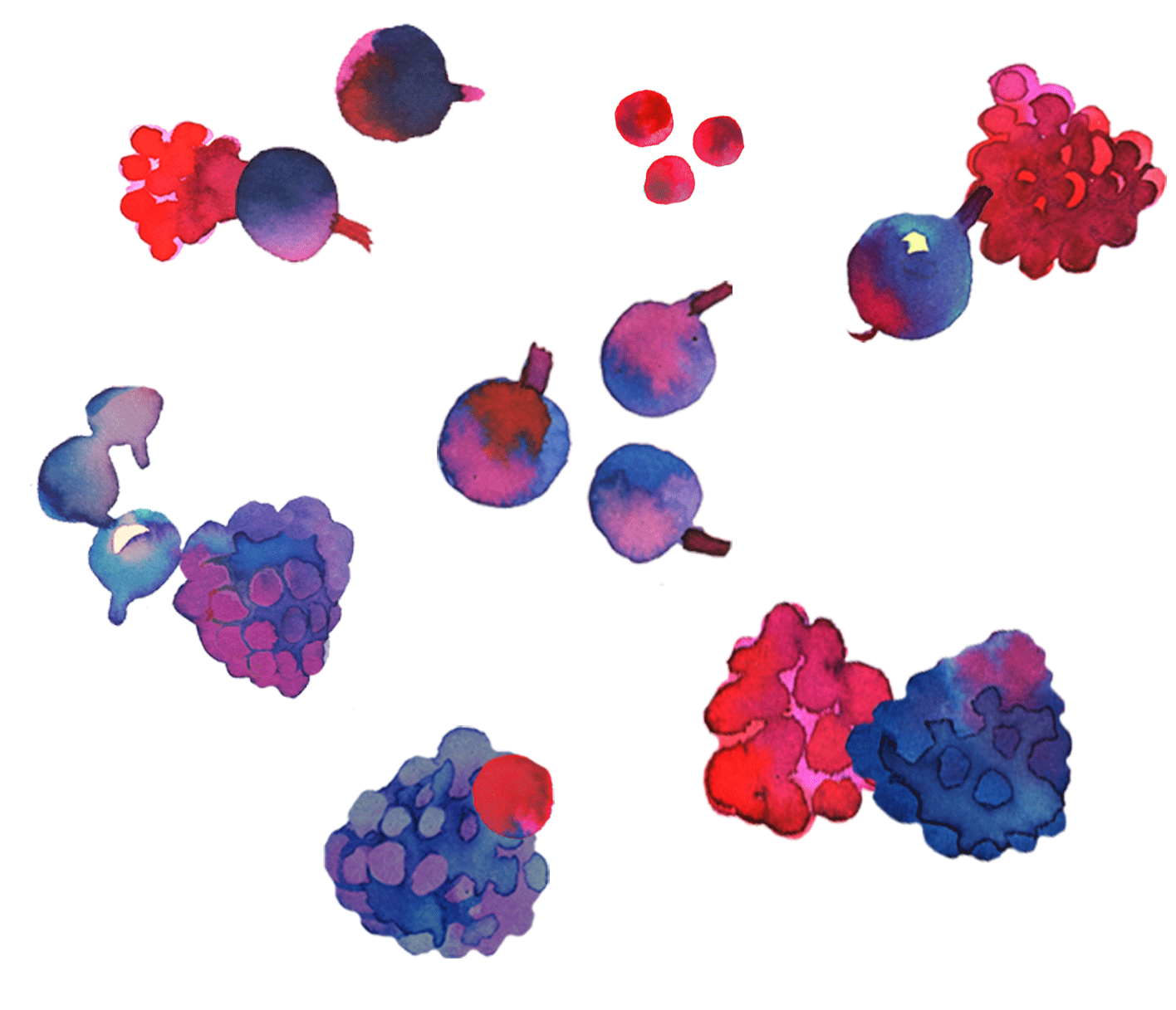 Berries