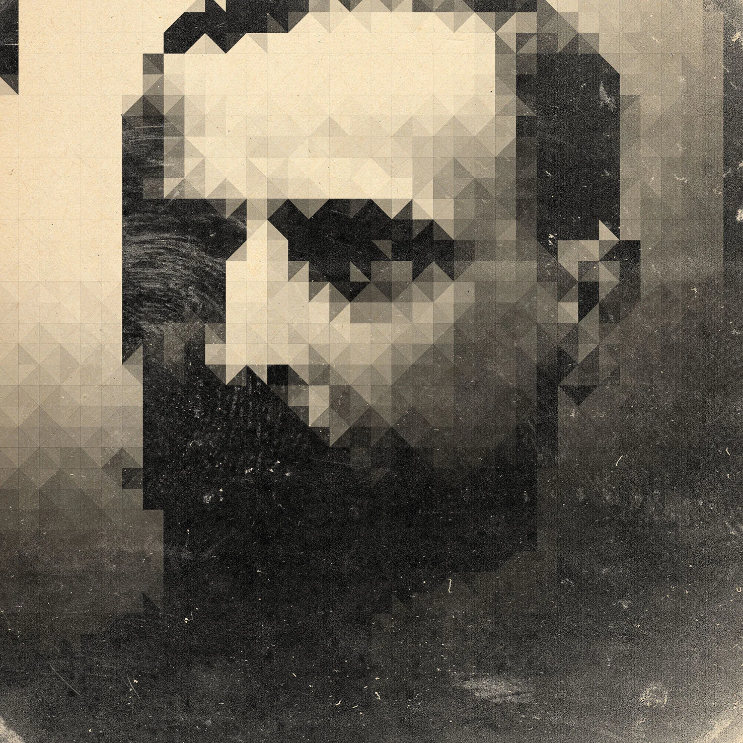 illu-sienk.jpg