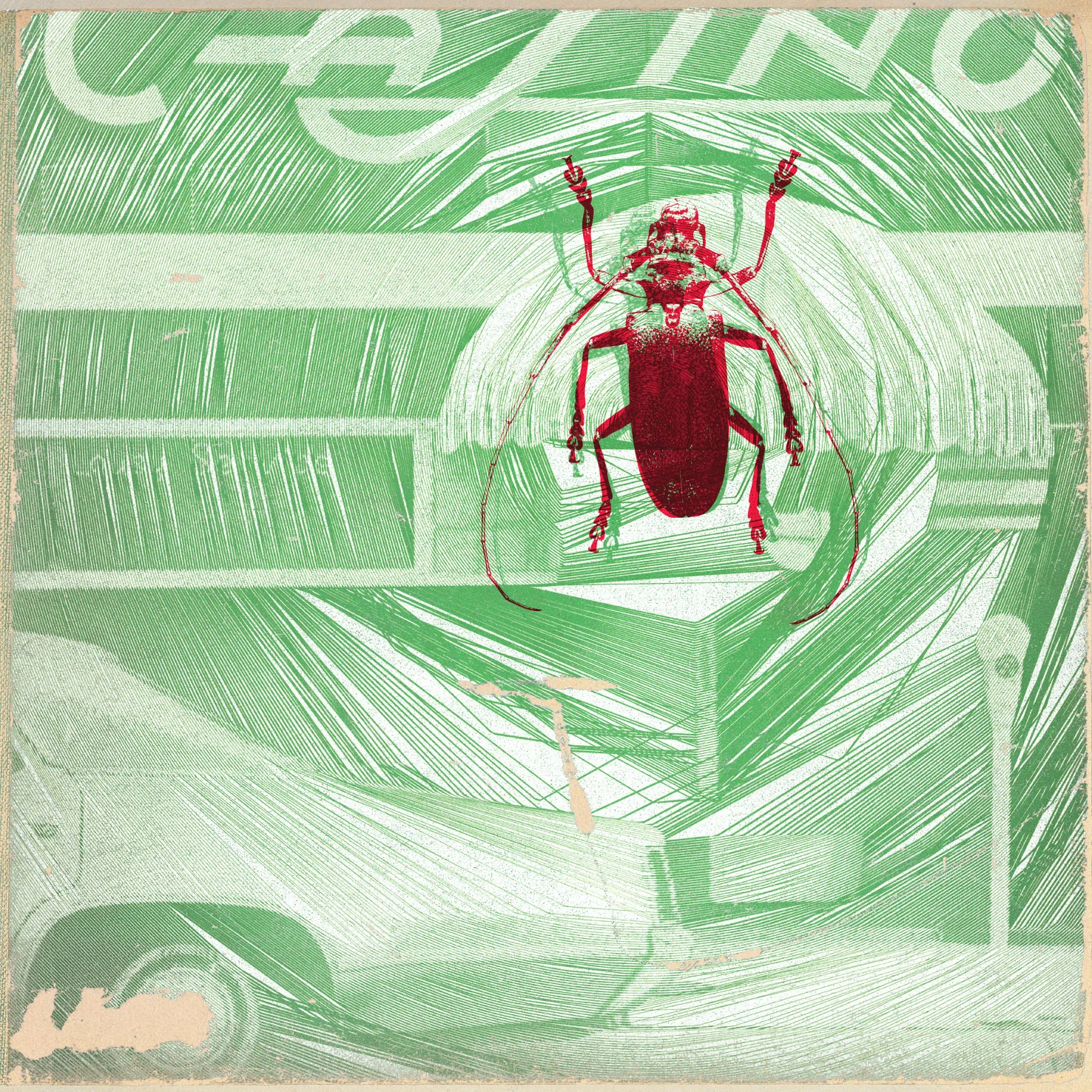 illu-BugsCArs-1.jpg