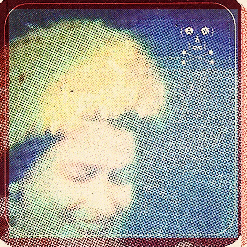 adesivi-6.jpg