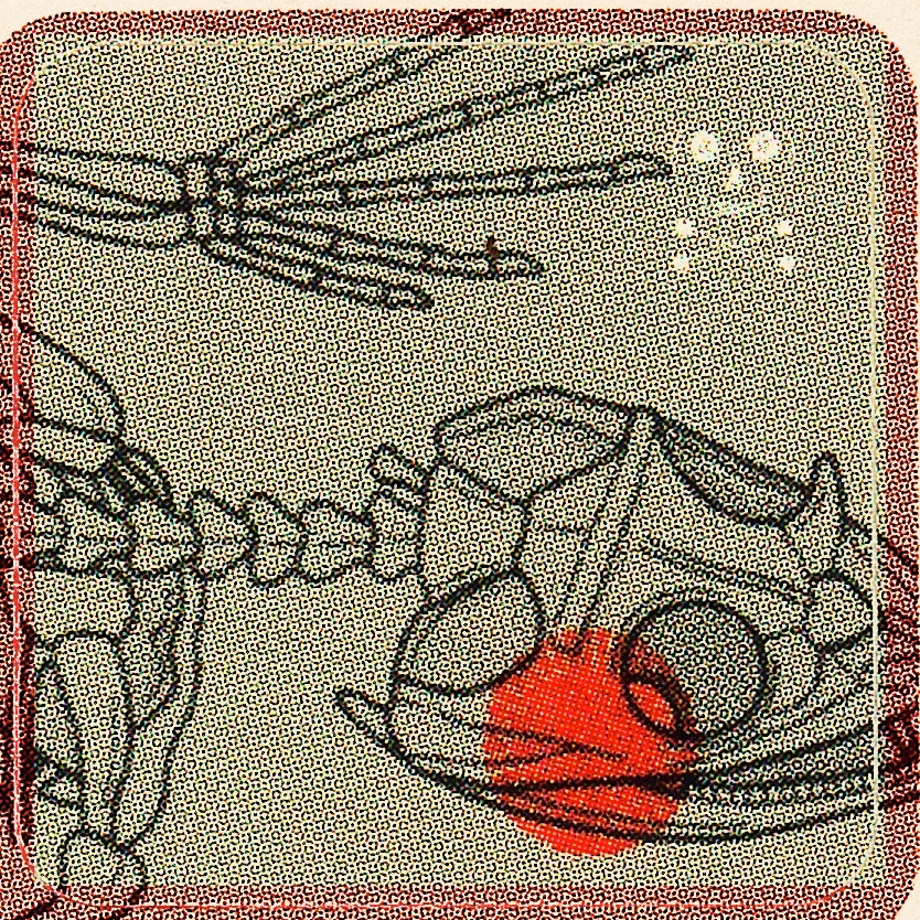 adesivi-5.jpg