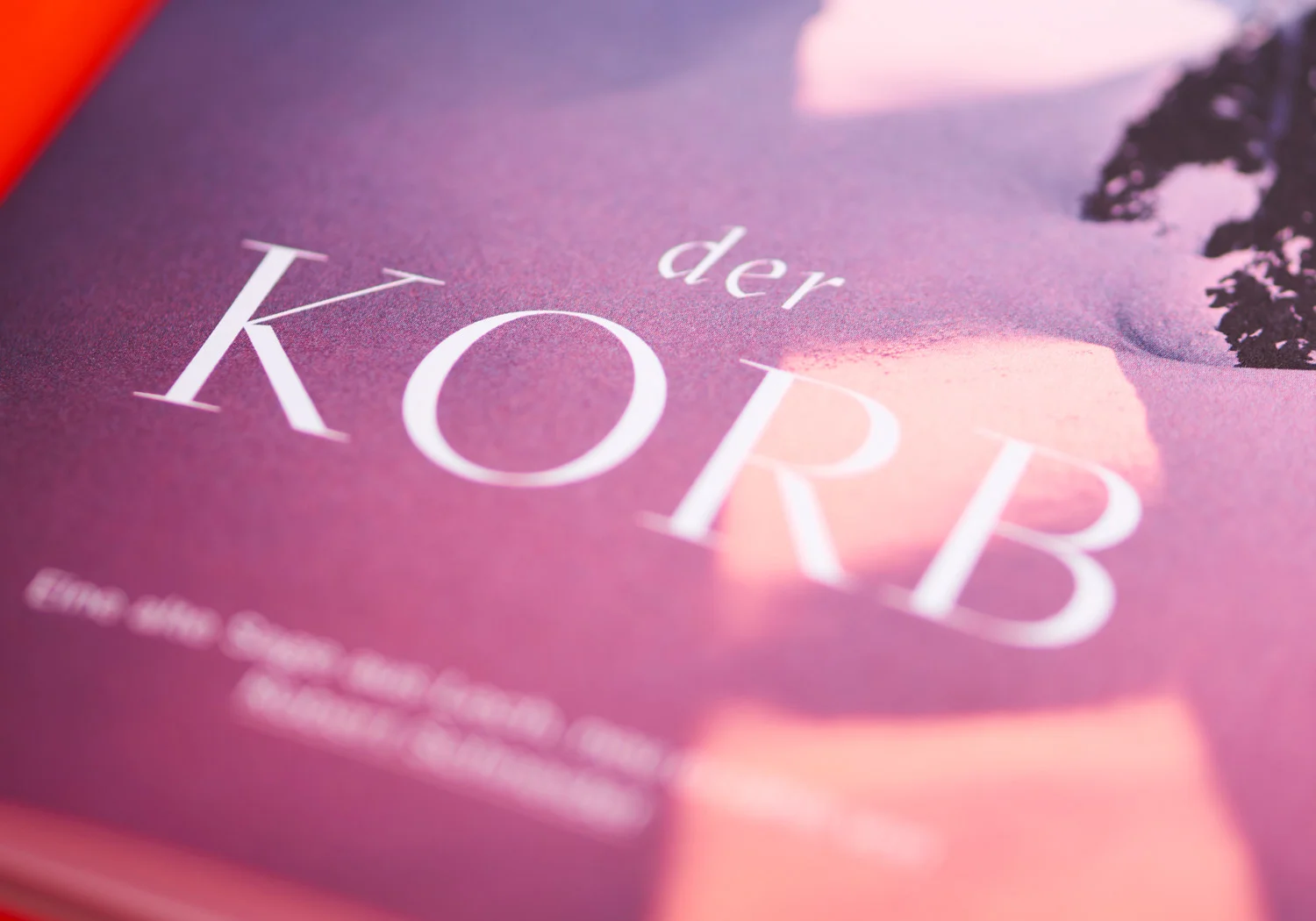 Strolz-Katalog-2019-Davilla-@FlorianSommet-12.jpg