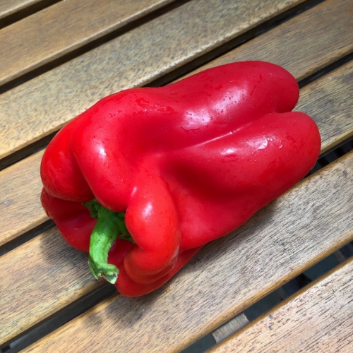 Red, orange or yellow peppers are great for your health an weight loss.