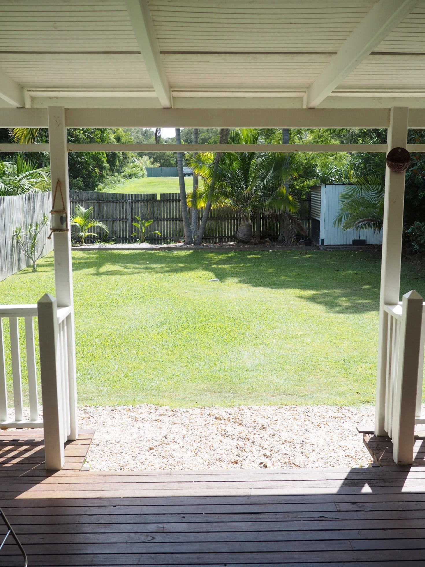 ......and the view from my work space: wallabies, water dragons, & birds are regular visitors.