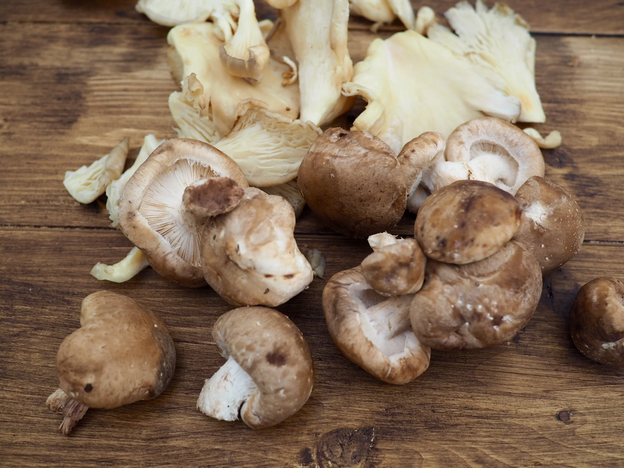 Sunbathing shitakes & oyster mushrooms for extra Vitamin D.