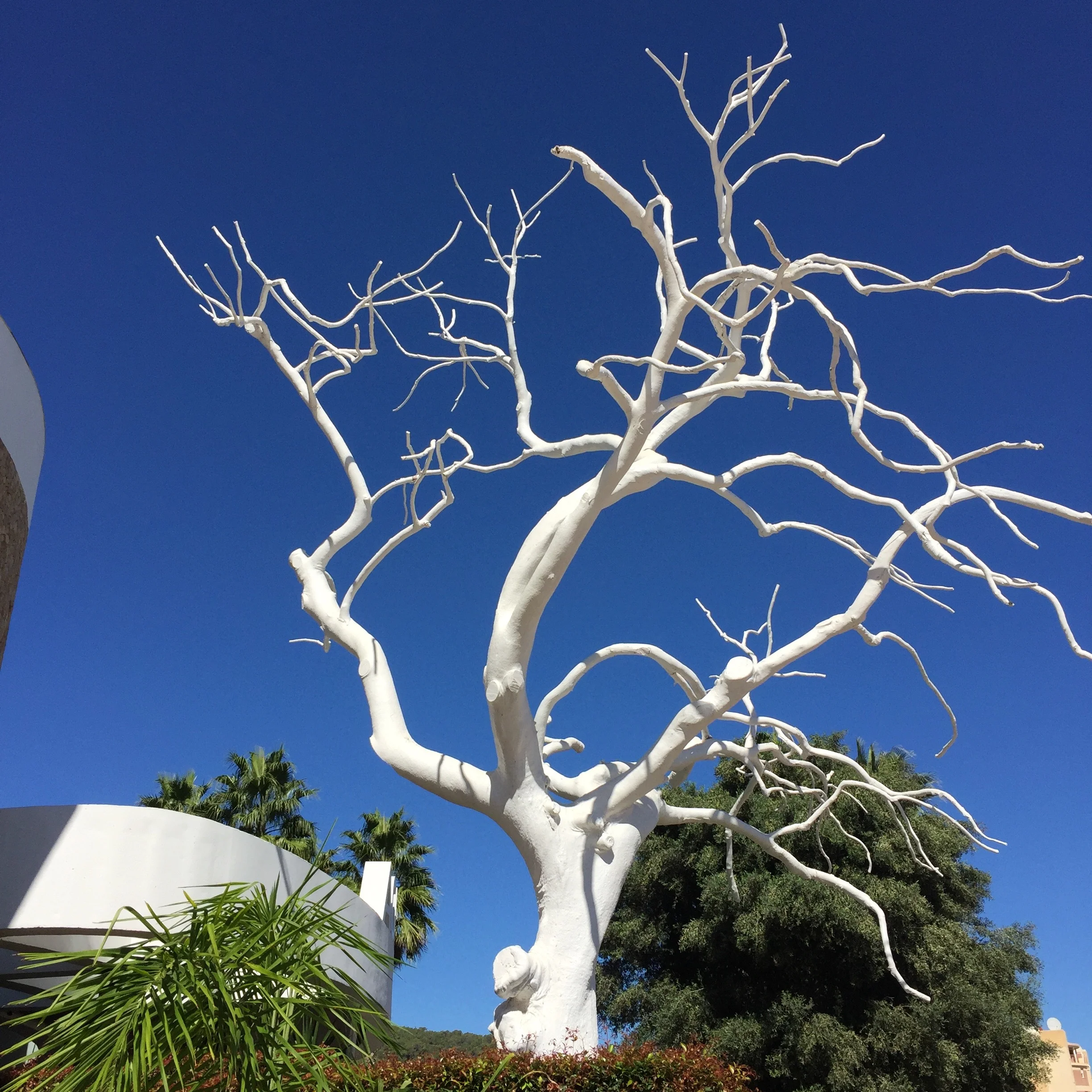 Outside the Aguas de Ibiza Hotel, Santa Eulalia, Ibiza.