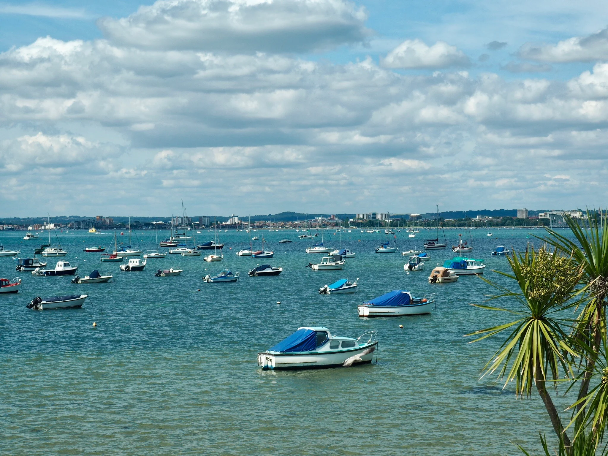 POOLE HARBOUR, DORSET.