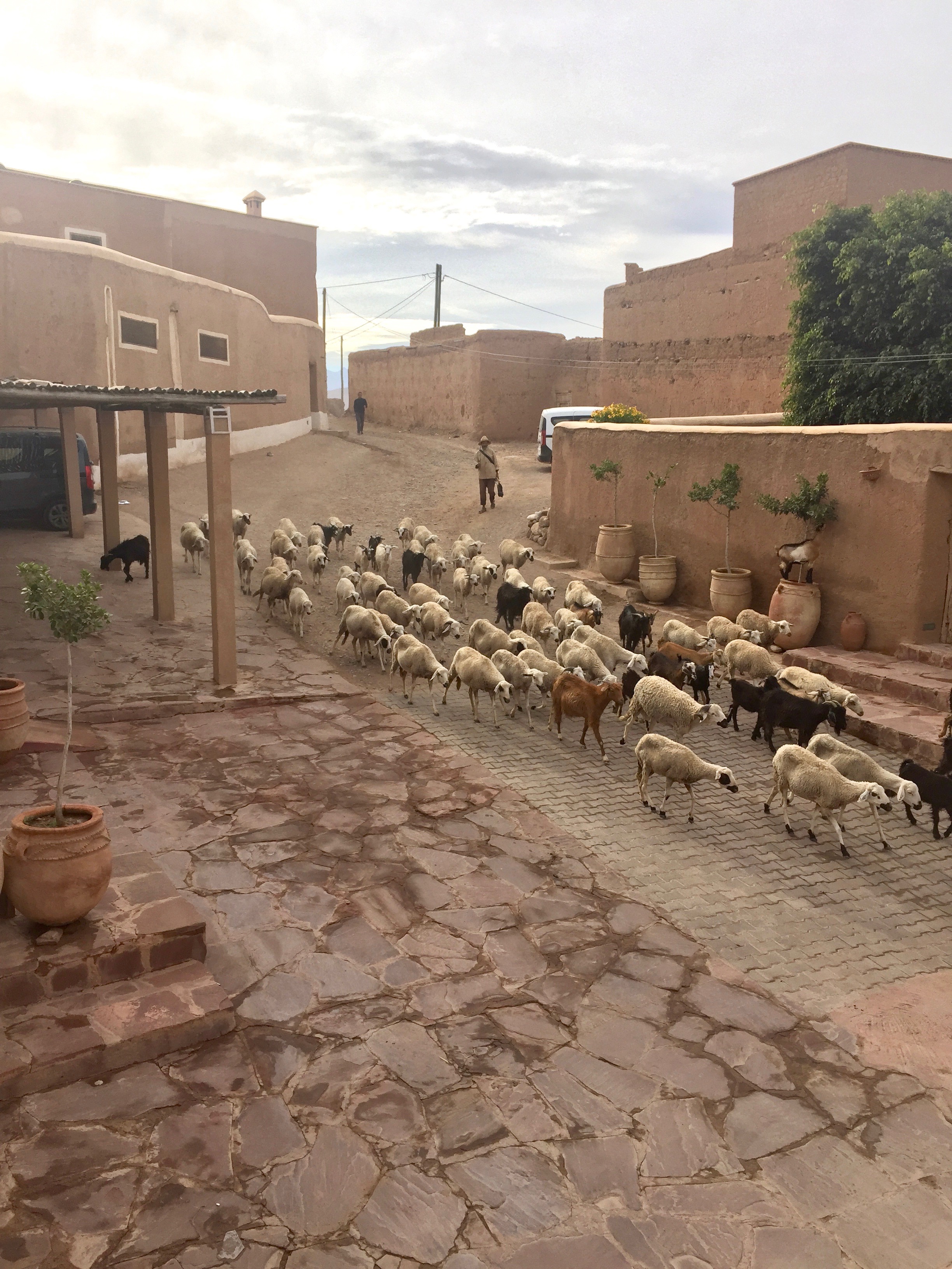 A berber village outside Marrakech