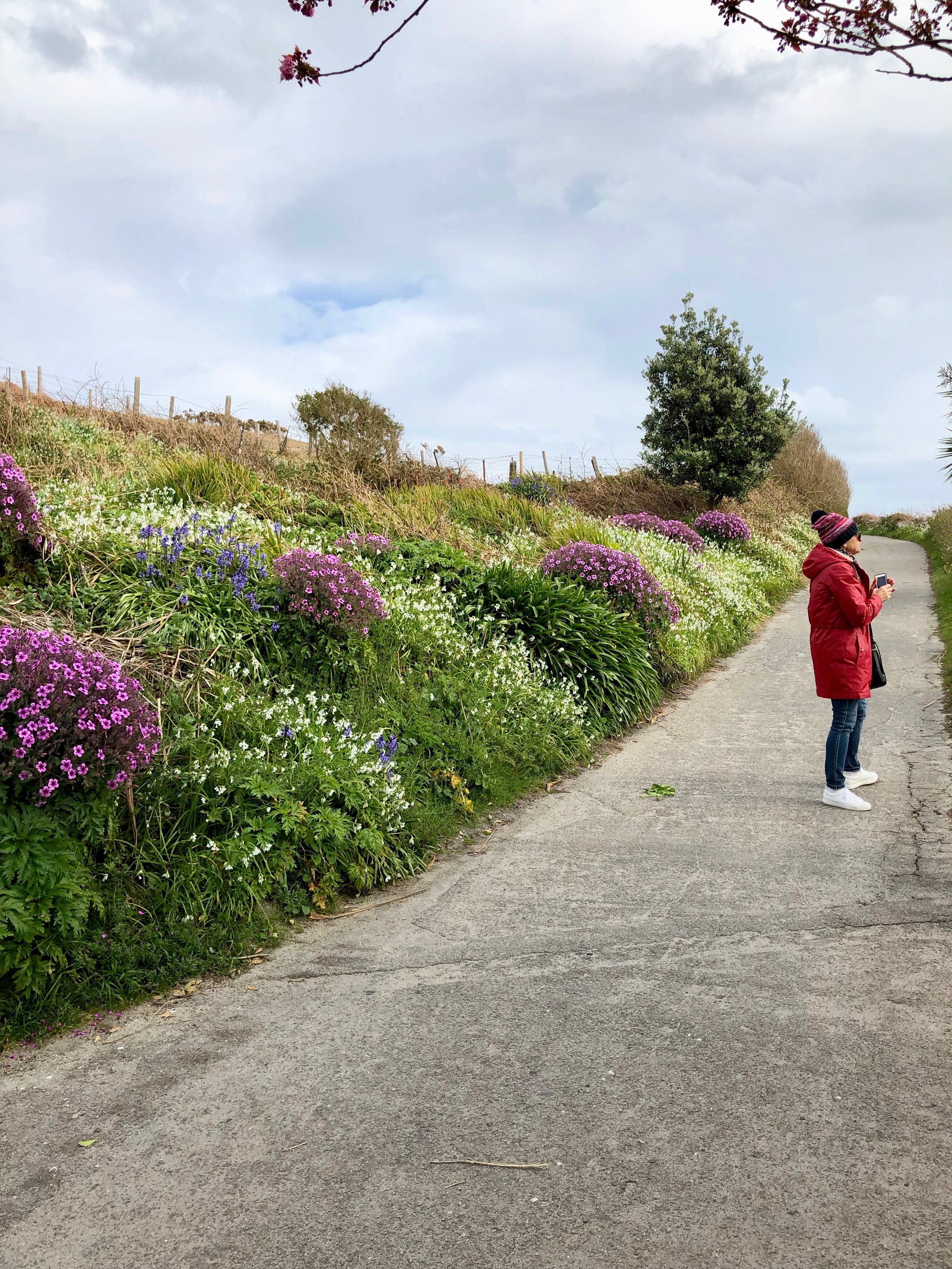 Walking around St. Martins, Scilly Isles.jpg