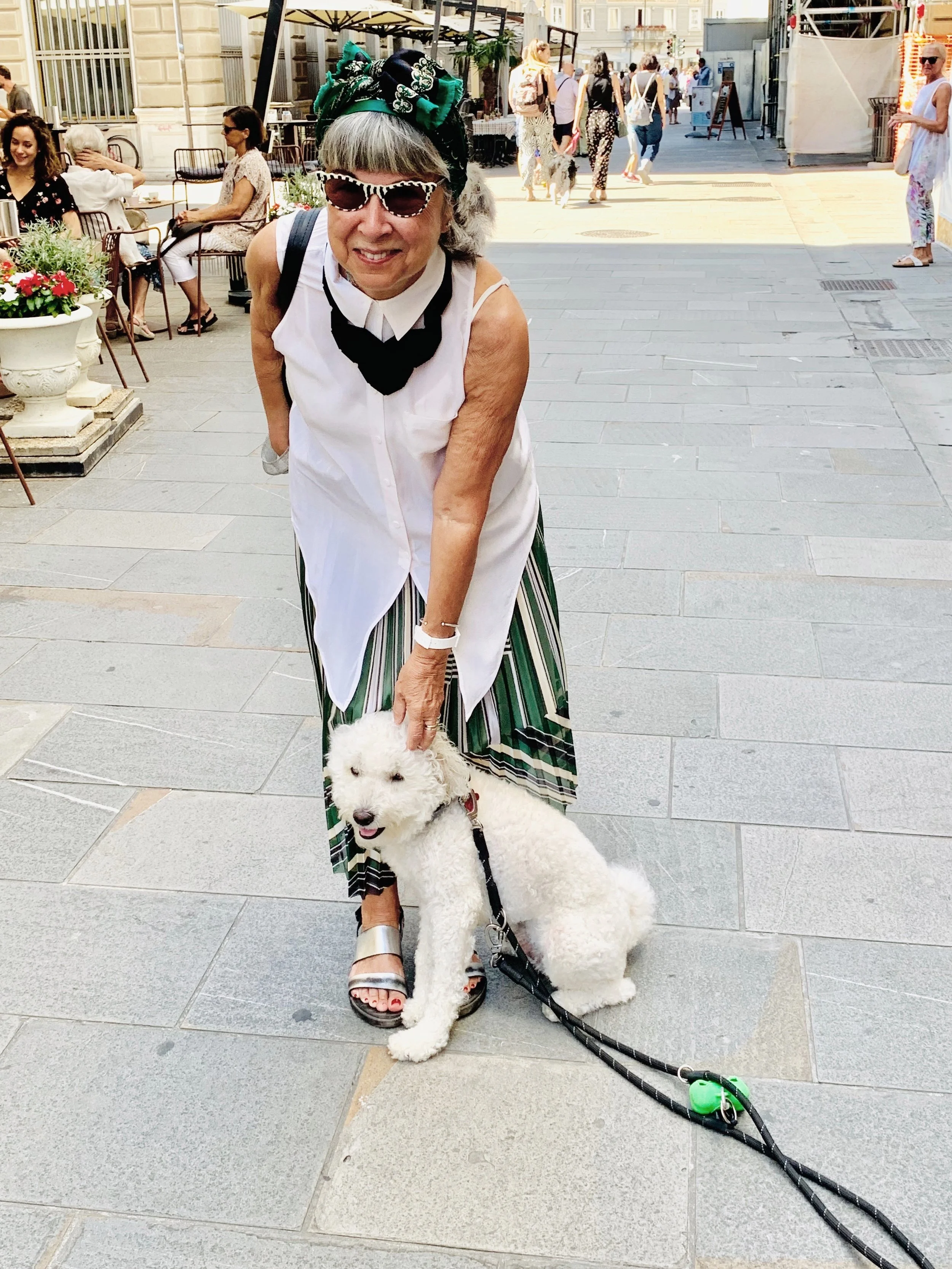 The City of Dogs: Trieste!