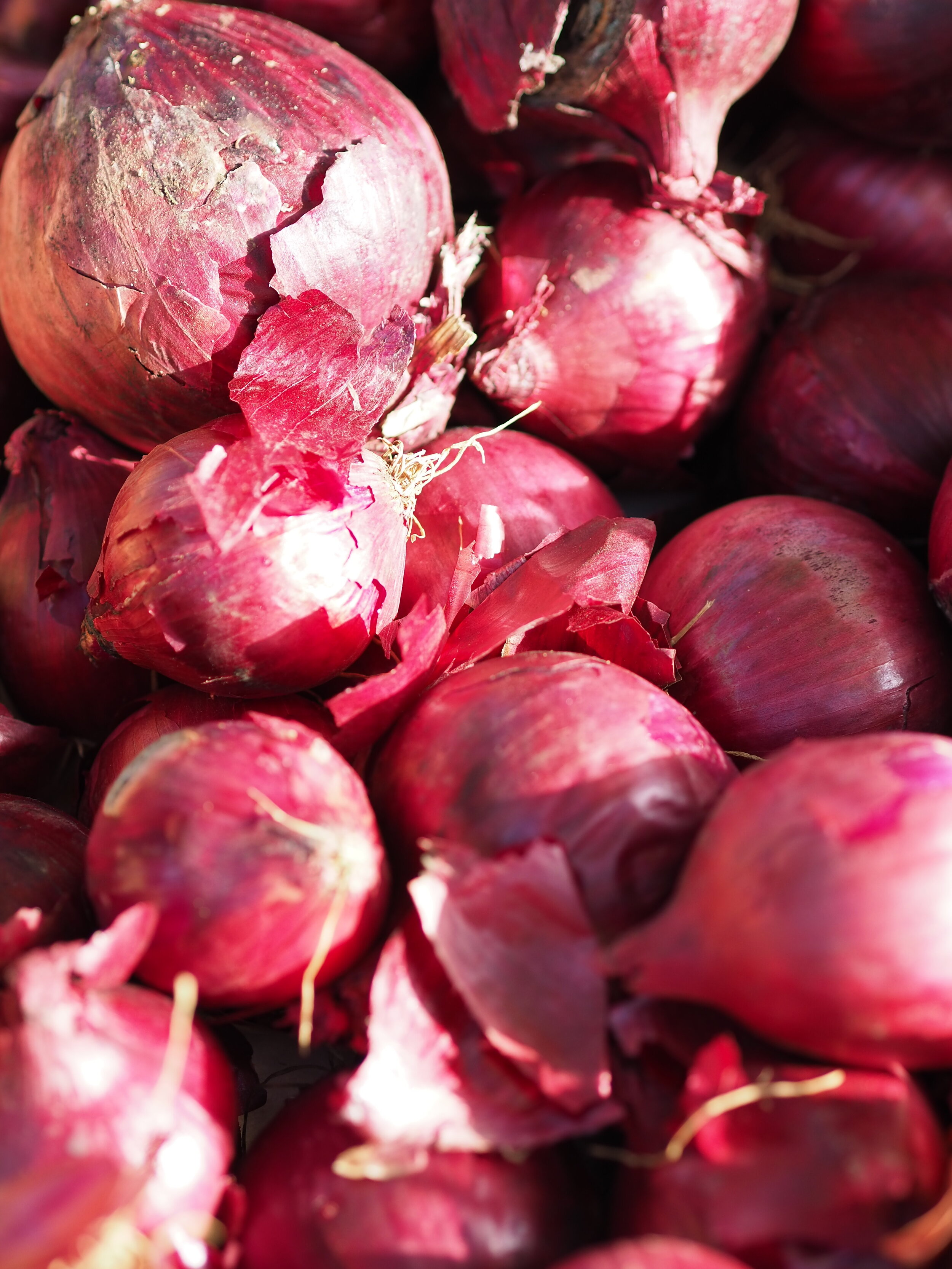 Ashurst Organics beetroot. 