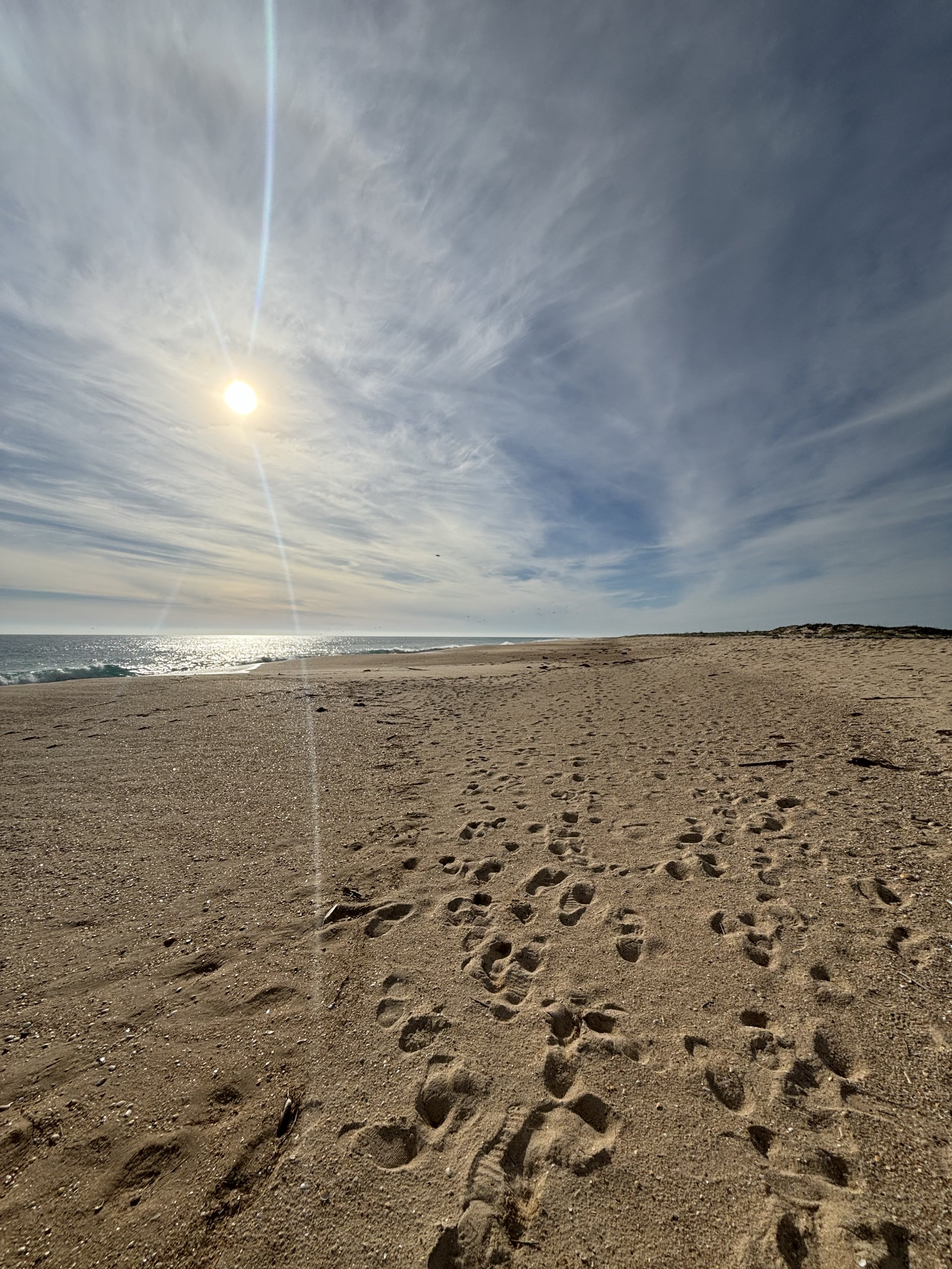 deserted beach.jpeg