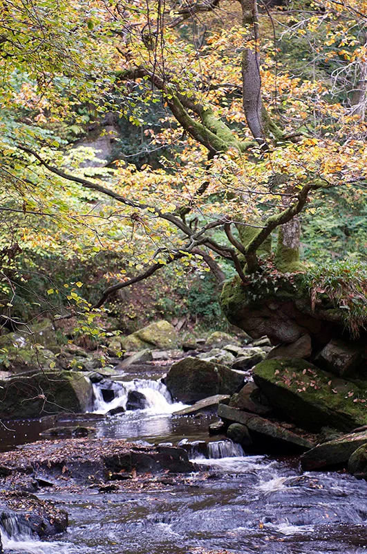 Goathland, England