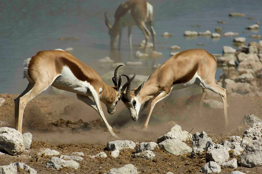 Namibia