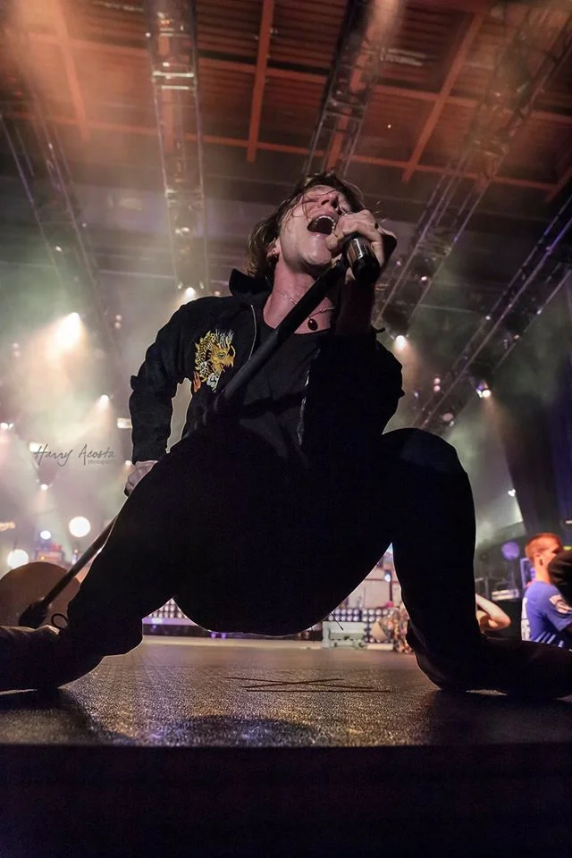 Cage the Elephant Delivers!