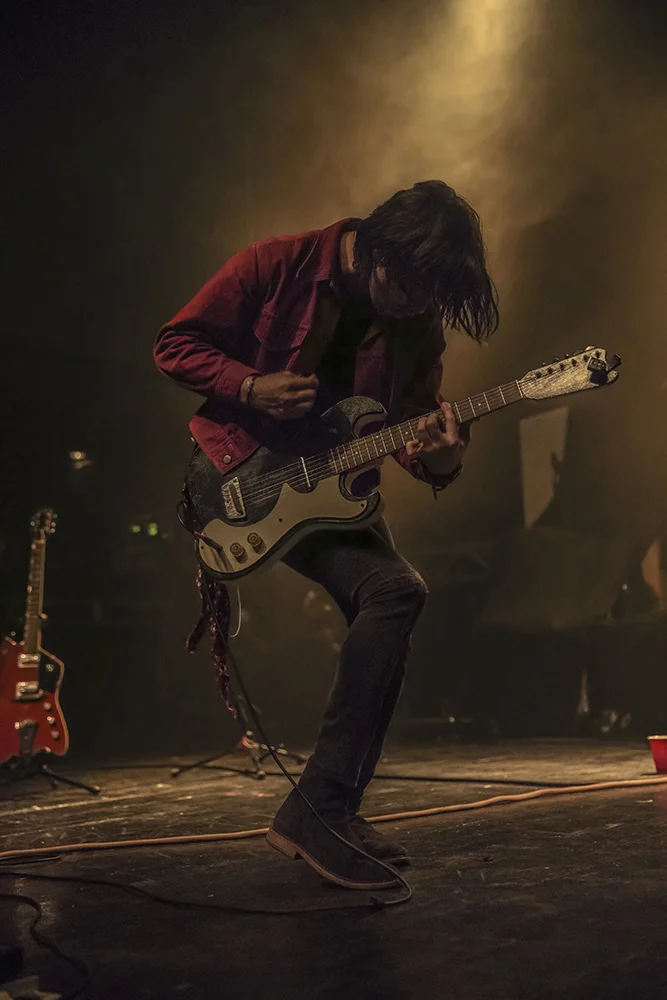 The Shelters 2017