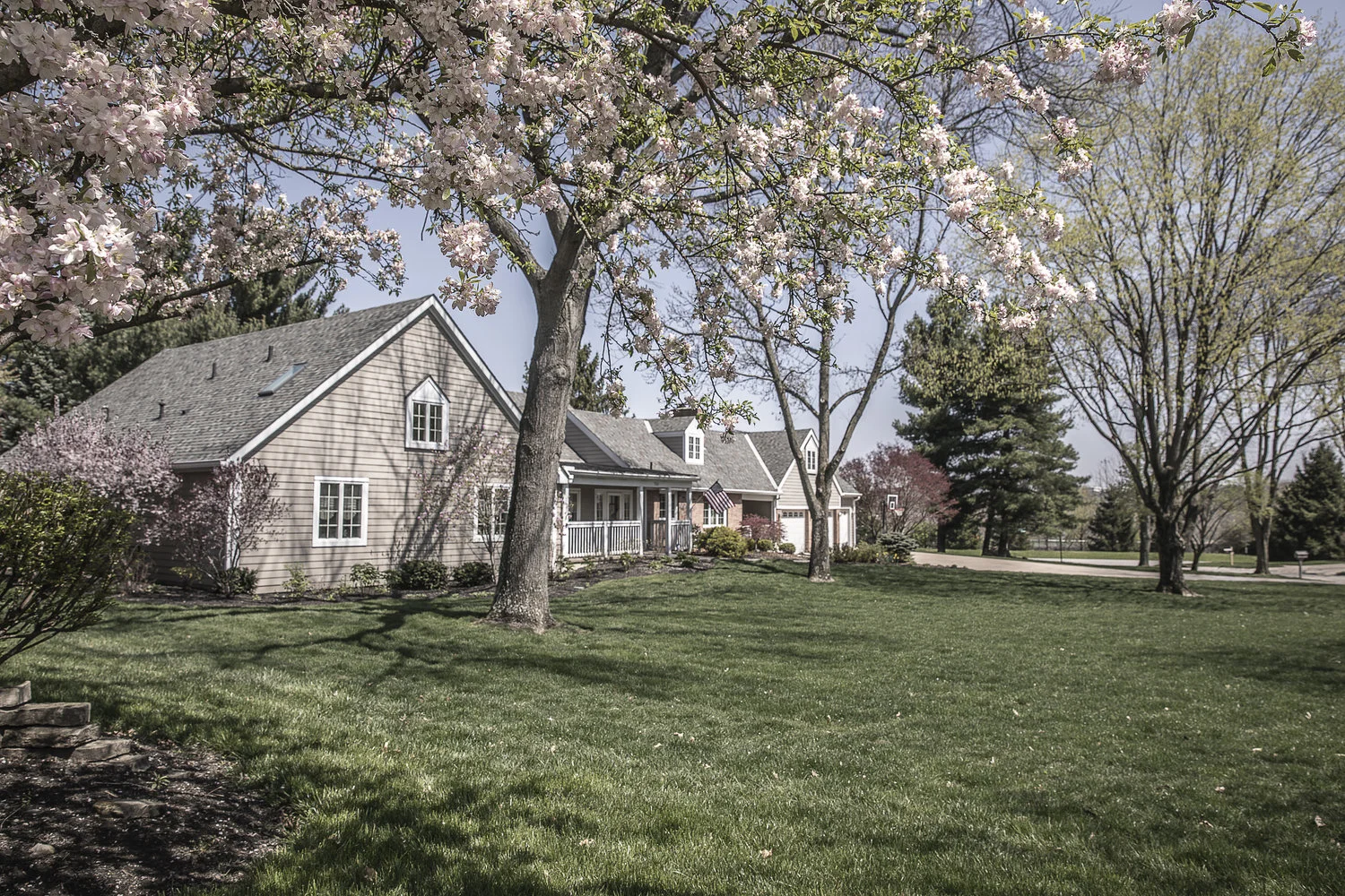 1b_NW_Cbus_IMGL0332.jpg