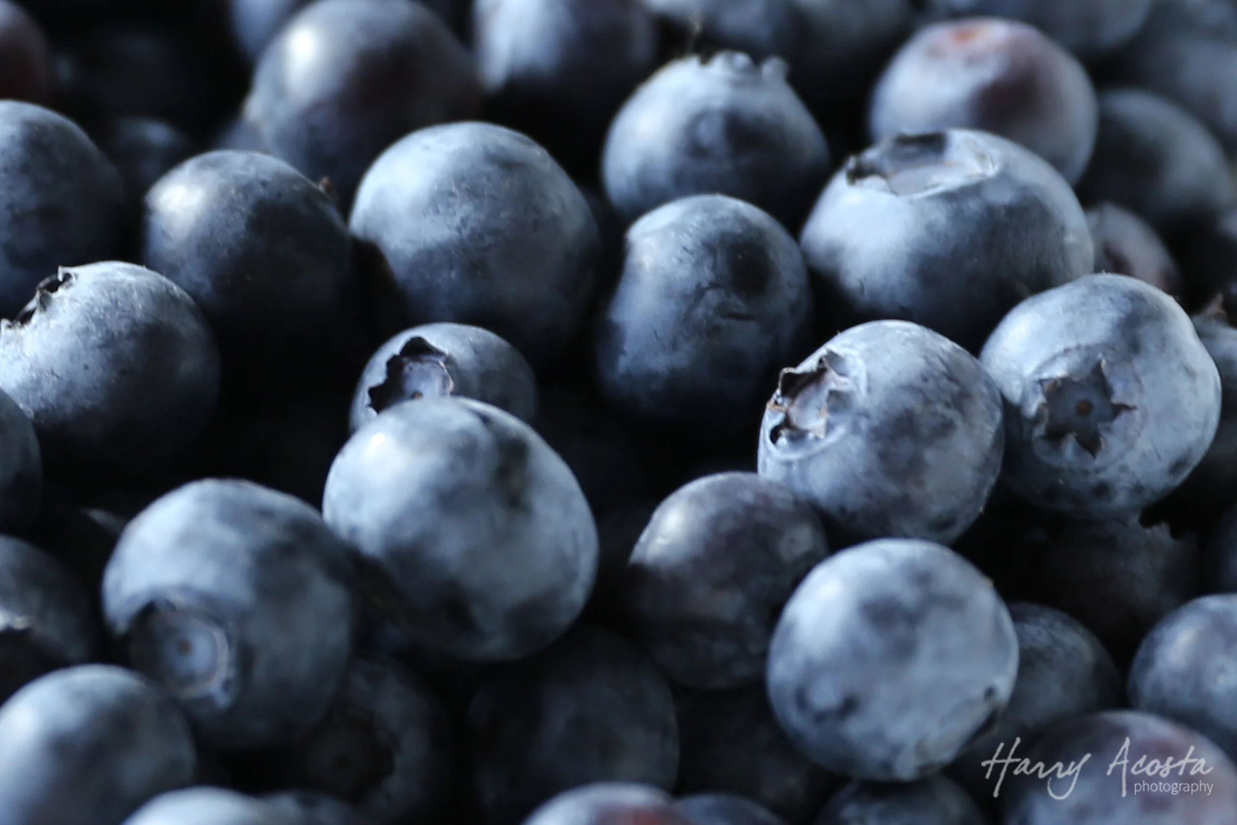Blueberries-Commercial-Photography-Banner-Harry-Acosta-Photography.jpg