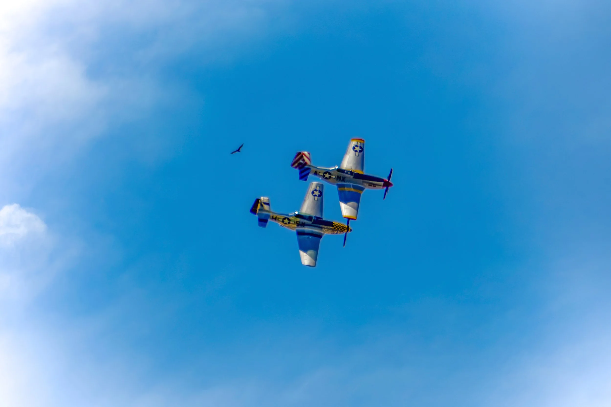 Turning Events Into Art — Event Photography by Harry Acosta