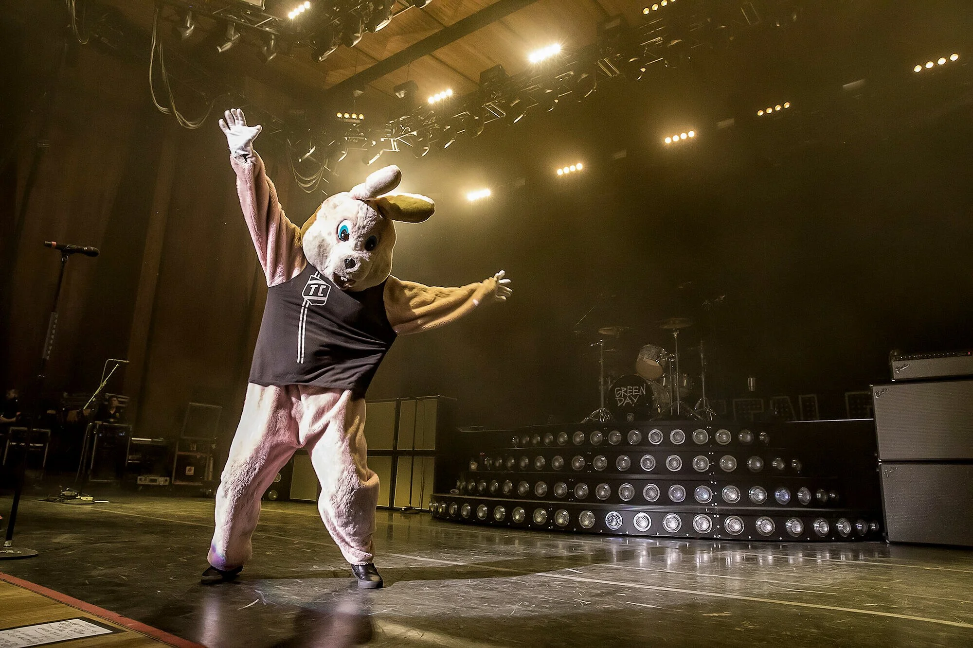 Pink bunny dances on stage at Blossom Music Center Cuyahoa Falls, Ohio Harry Acosta Photography