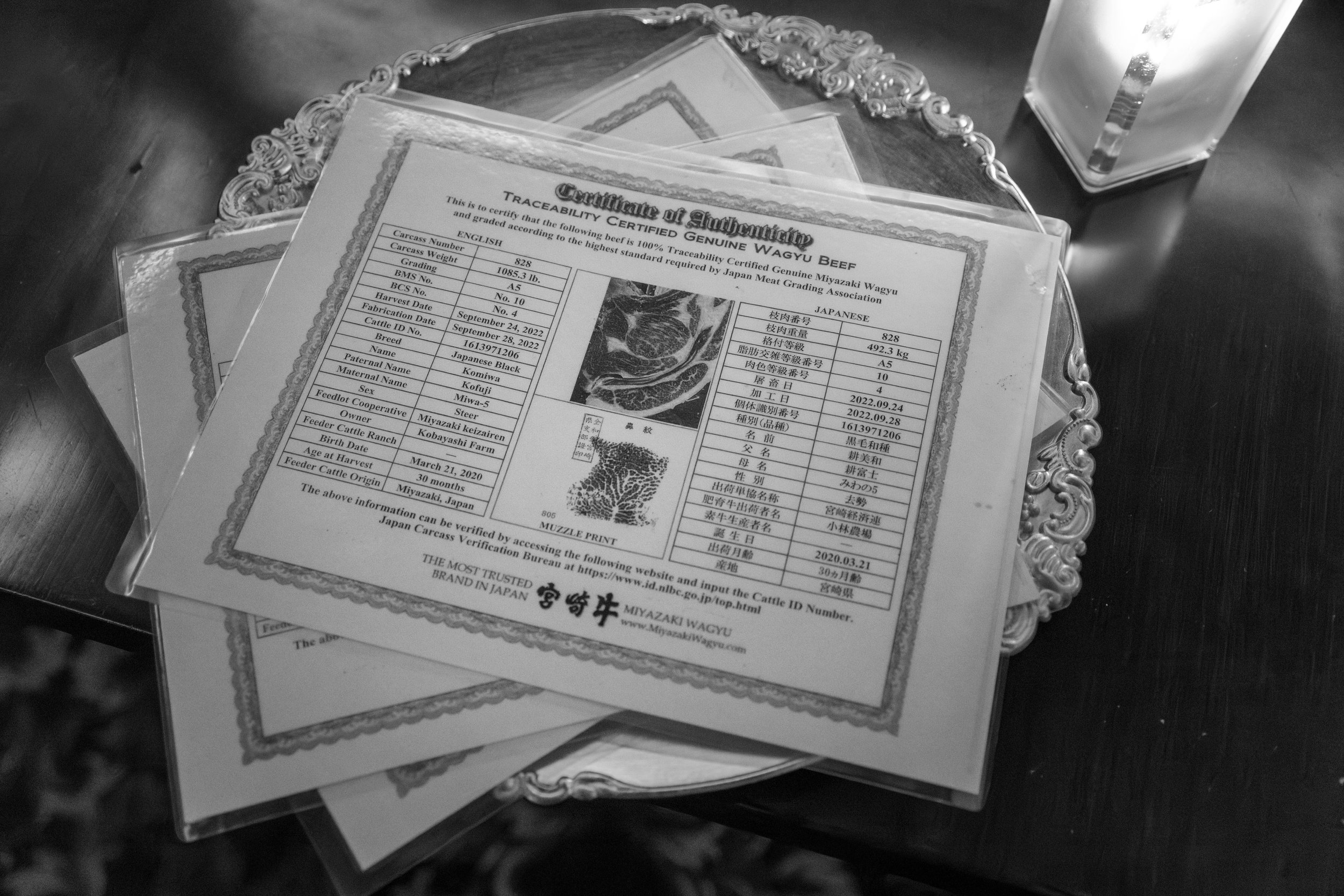 Event Photography for Steve Haddadin of Wagyu Day @ Jeff Ruby's Steakhouse Columbus, Ohio | Photo by Harry Acosta Photography