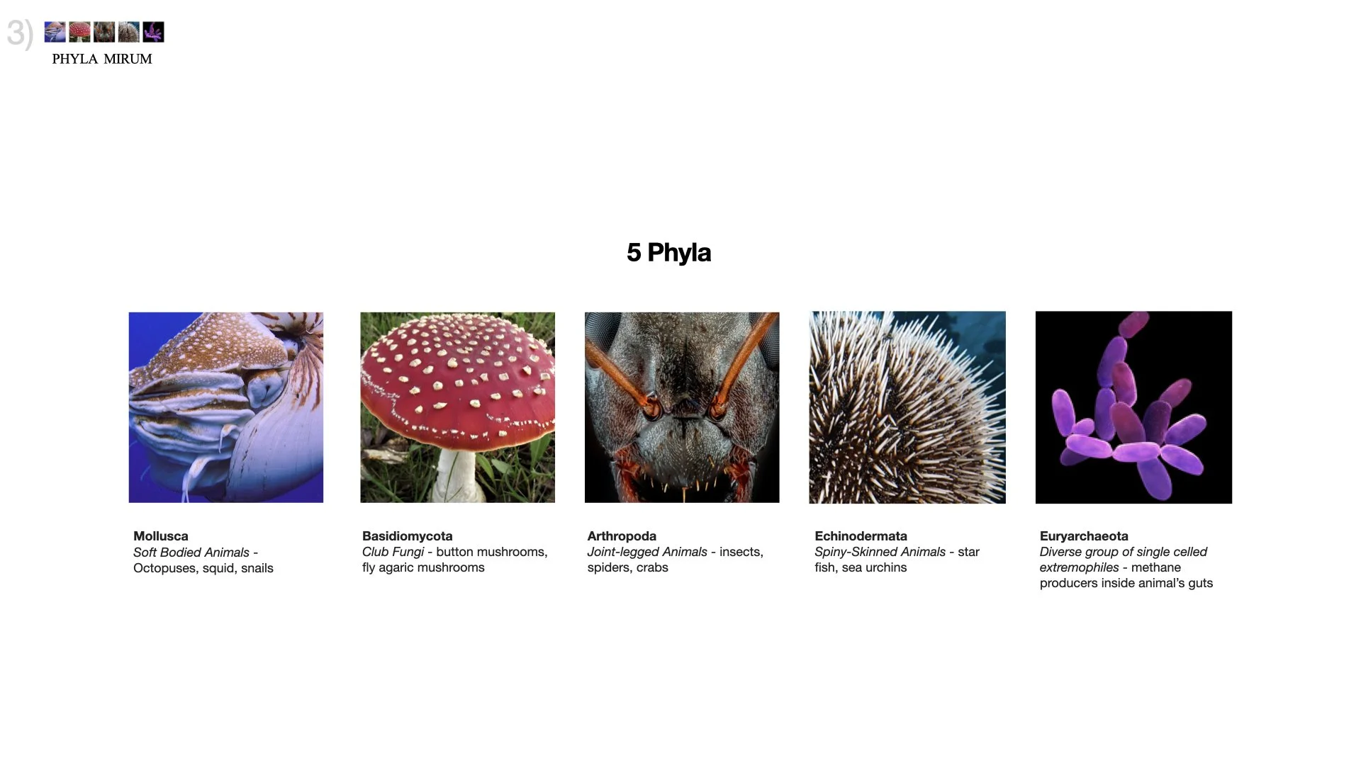 Three Concepts_Michael Howell_2025.024.jpeg