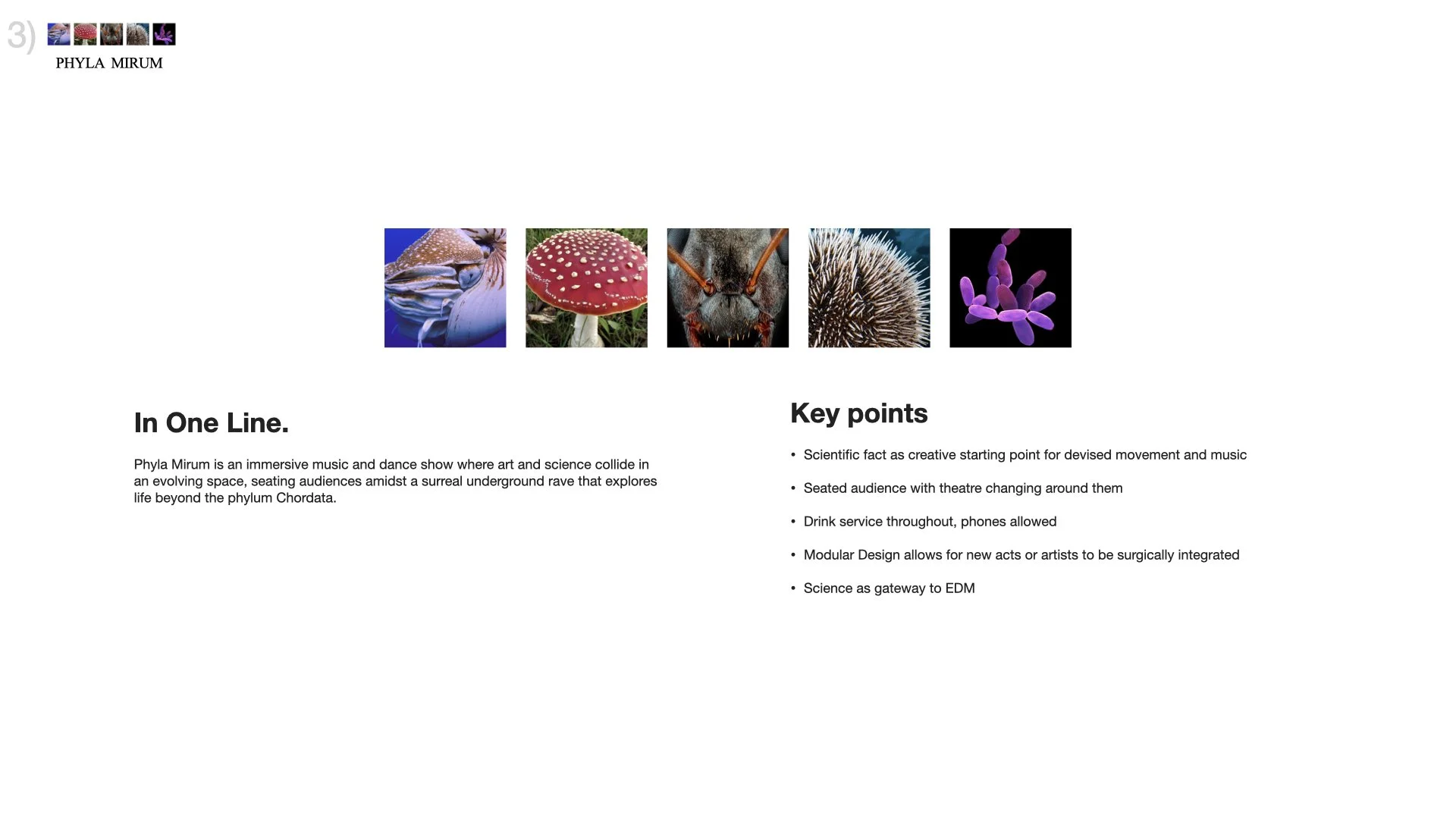 Three Concepts_Michael Howell_2025.023.jpeg