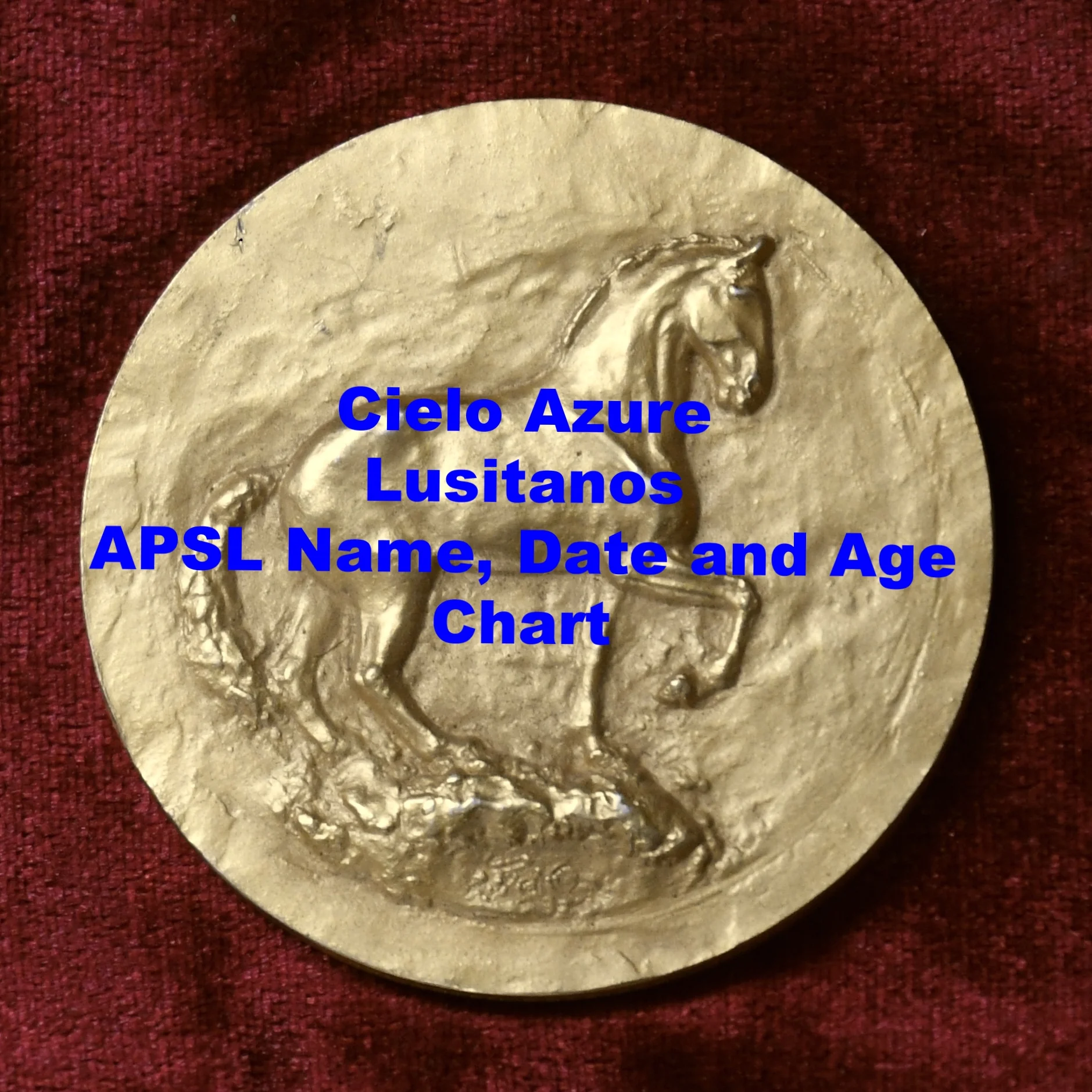 APSL Horse Name, Year and Age Chart.