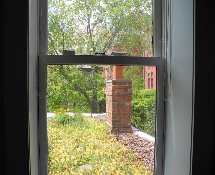 chimney through window.jpg