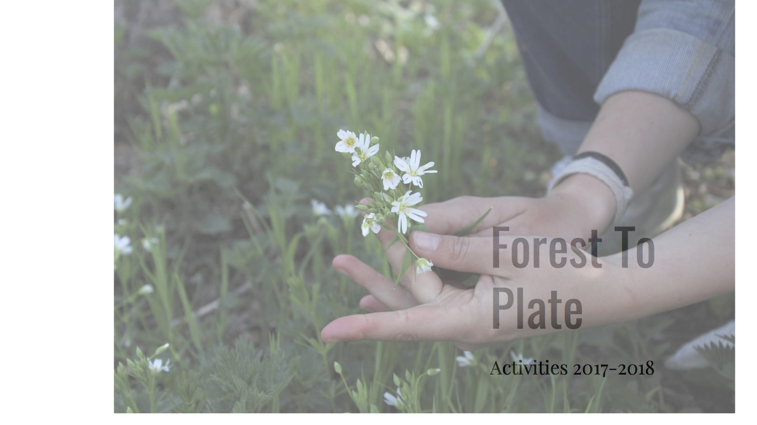 Forest To Plate Presentatie.jpg
