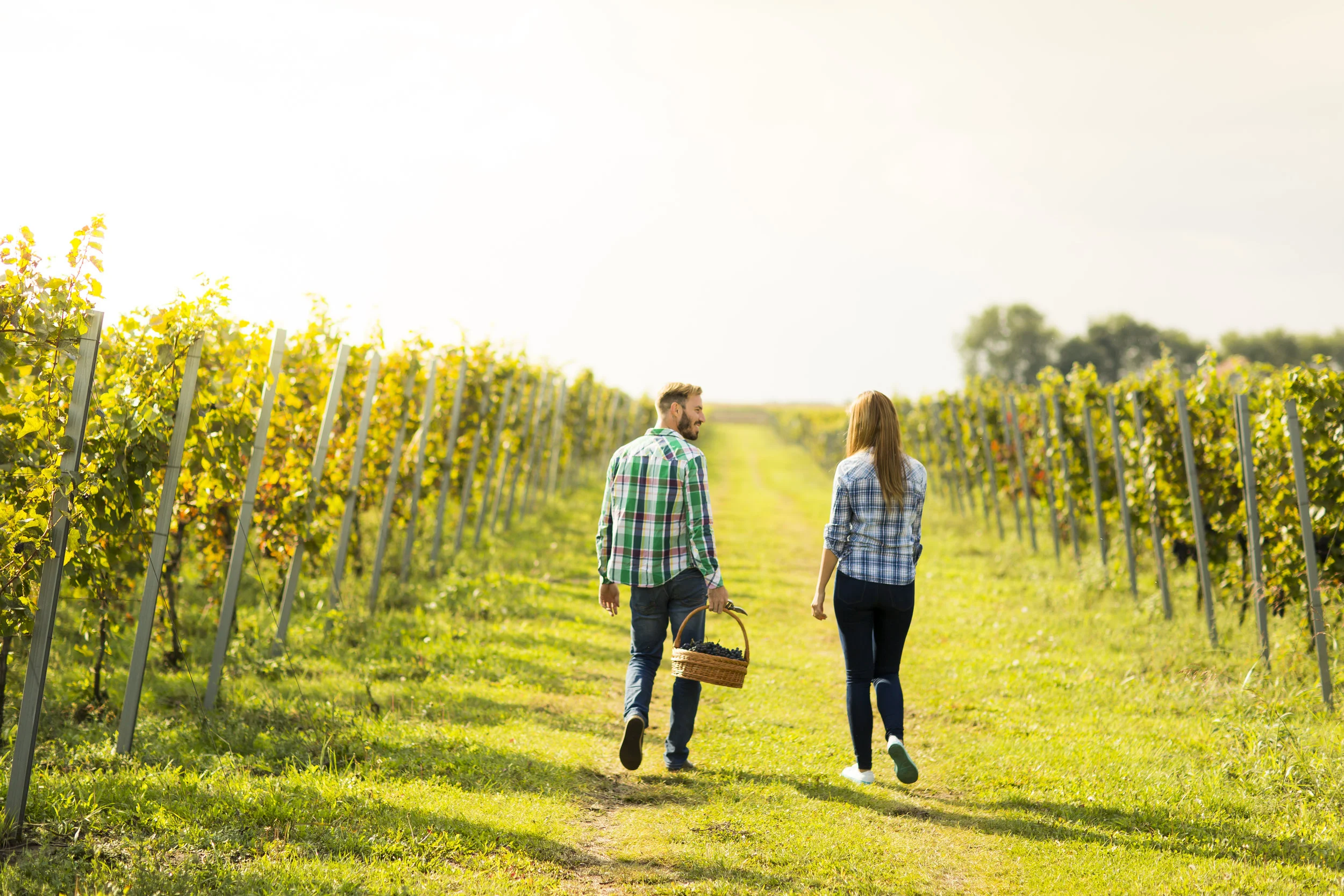 shutterstock_495050818.jpg