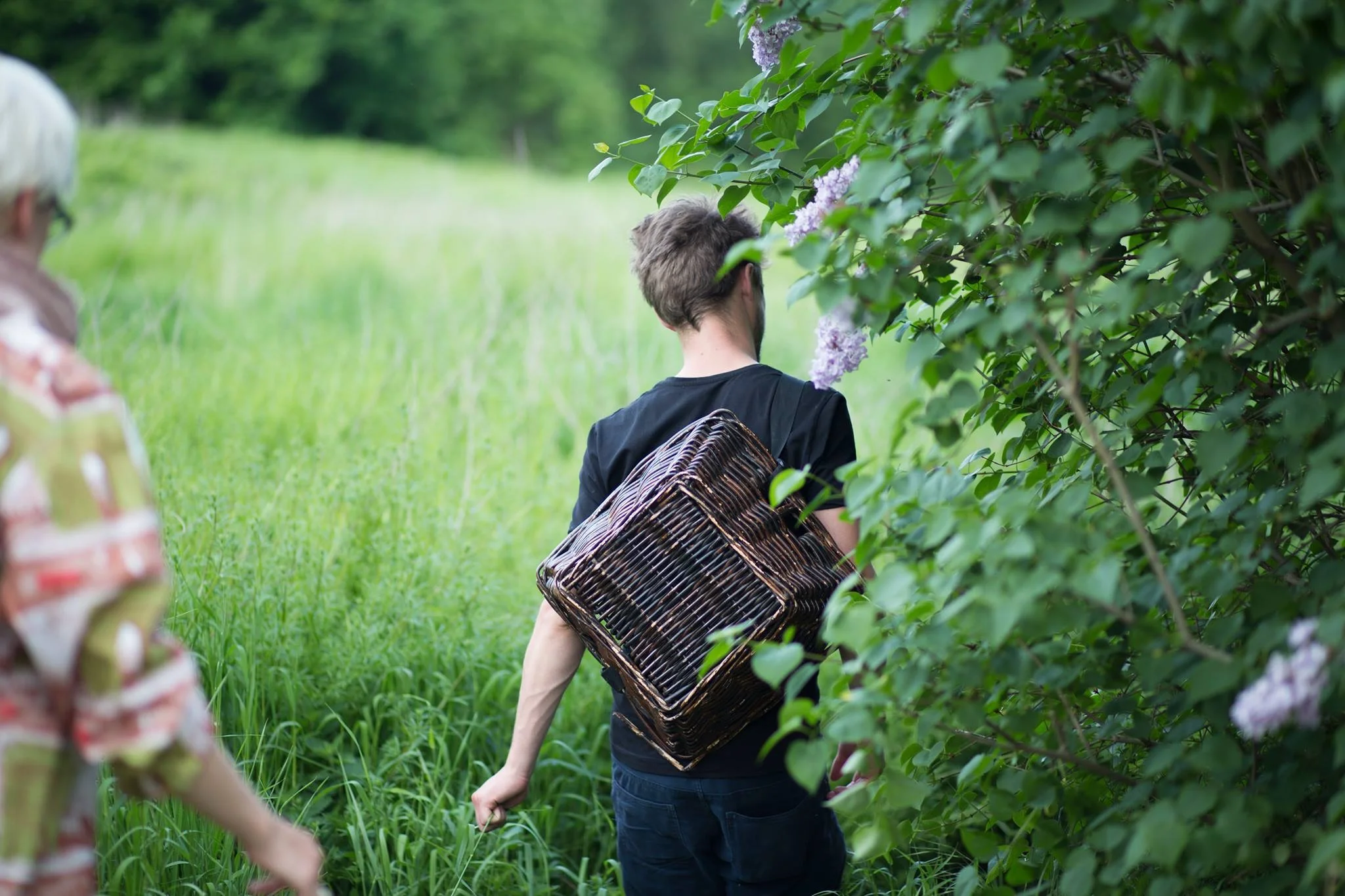 Ben Brumagne, Wilde eetbare planten, wildplukken, wildplukker, opleiding wilde eetbare planten, herborist, teambuilding, workshops, forest to plate, eat the forest, foraging, wildpluk, eetbare paddestoelen