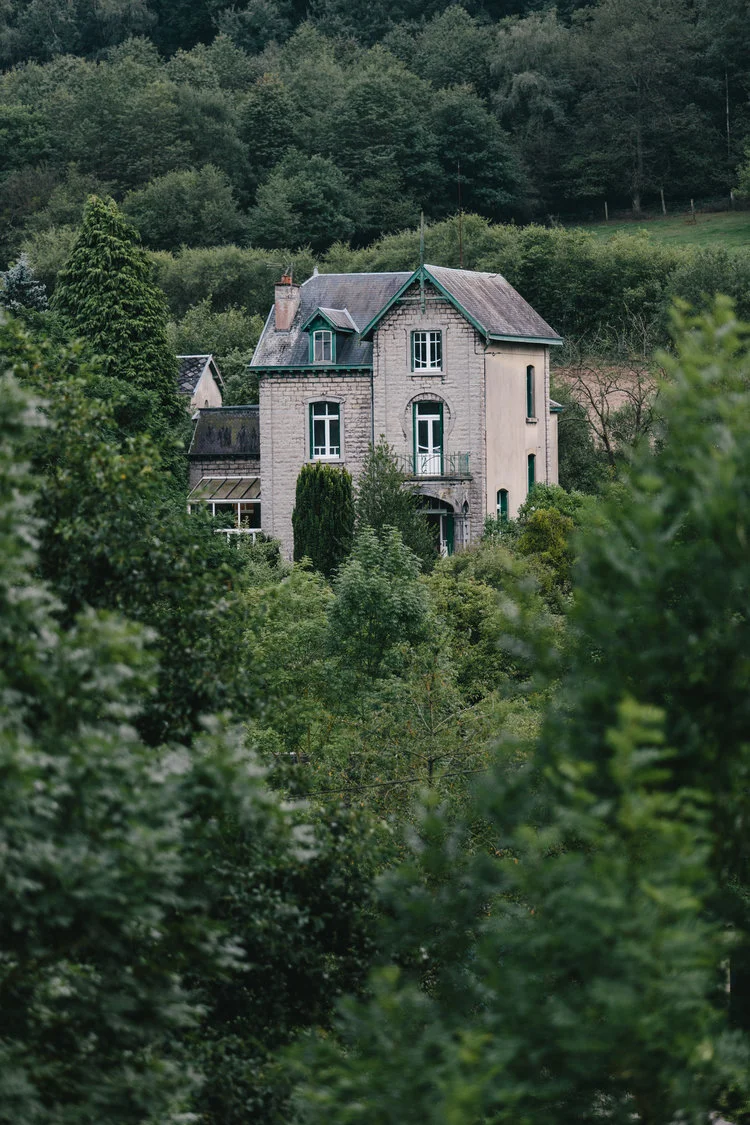 Ben Brumagne, Wilde eetbare planten, wildplukken, wildplukker, opleiding wilde eetbare planten, herborist, teambuilding, workshops, forest to plate, eat the forest, foraging, wildpluk, eetbare paddestoelen, huis in Ardennen huren, trektochten in de Ardennen