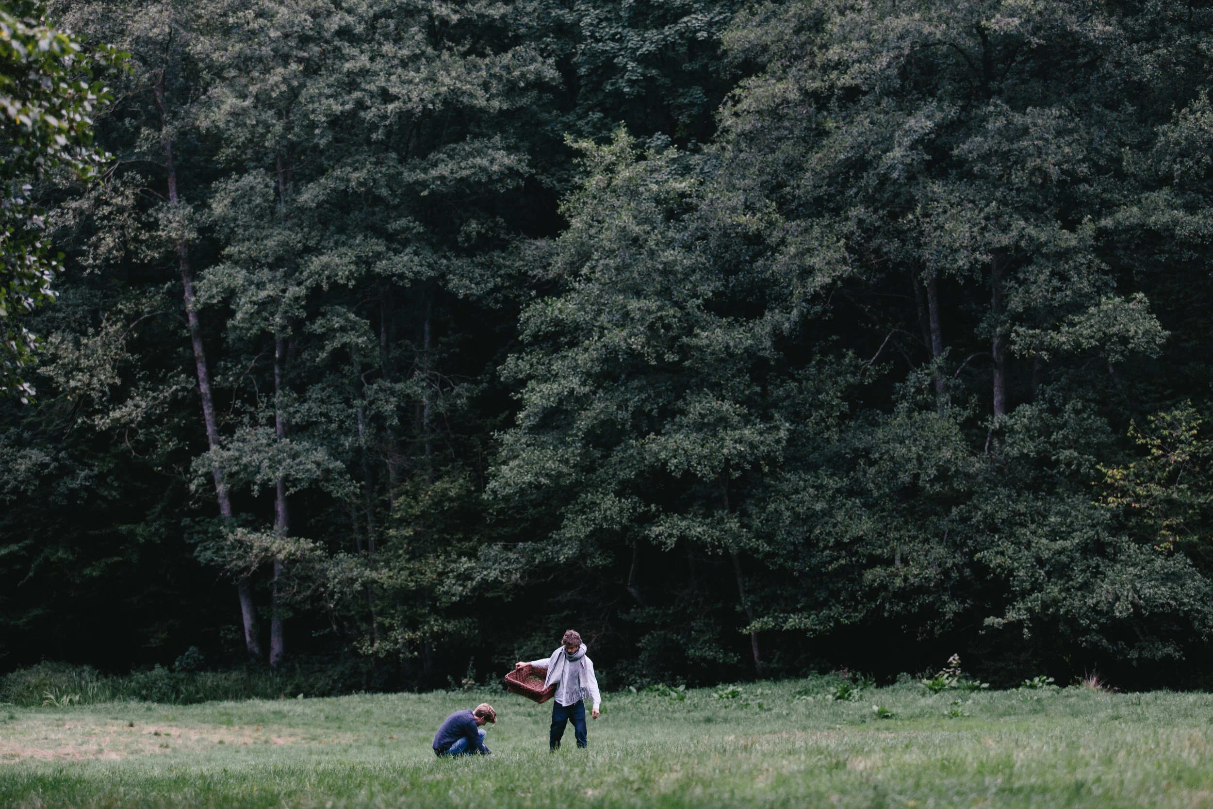 WildChefs004.jpg