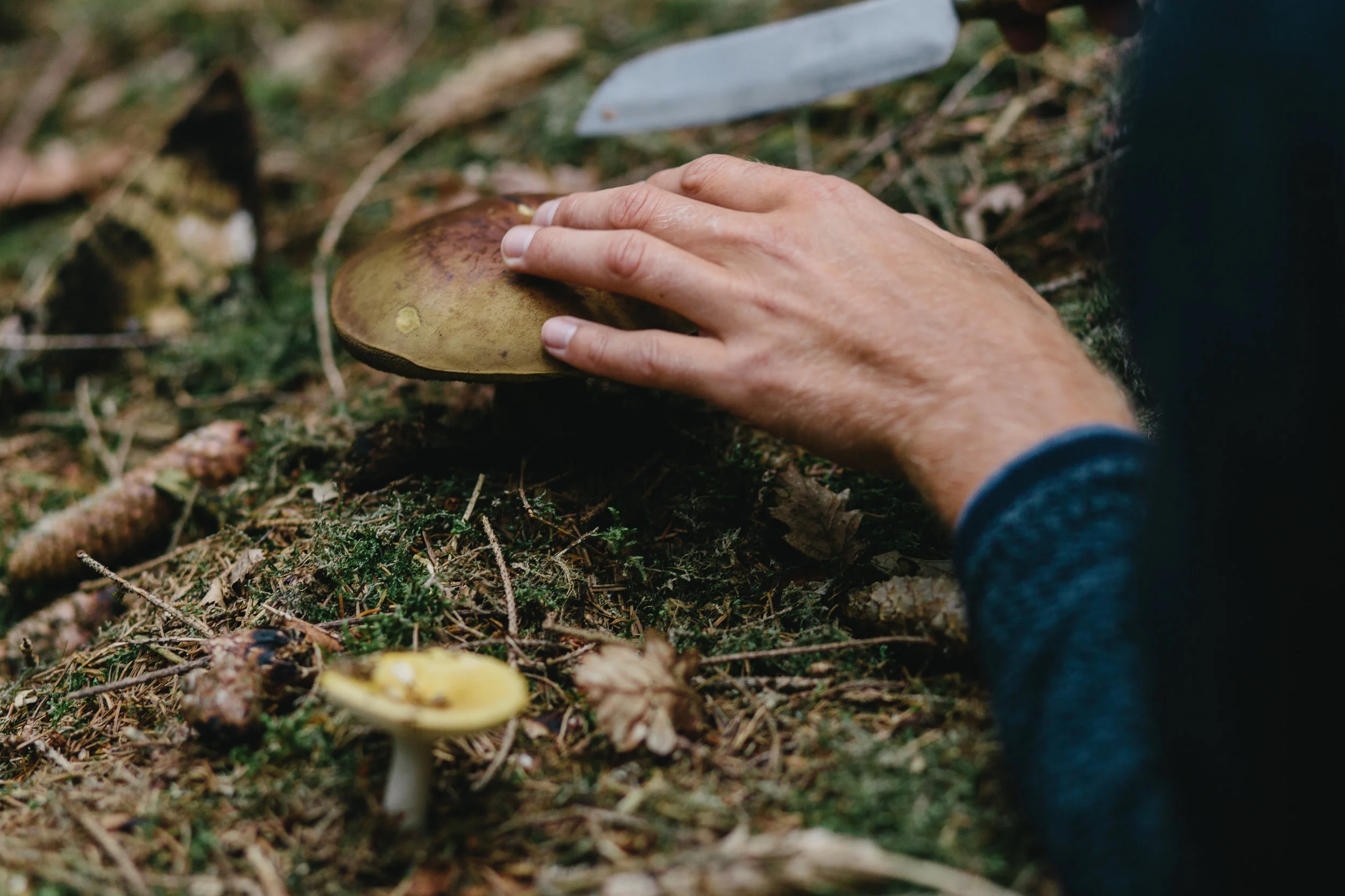 WildChefs012.jpg