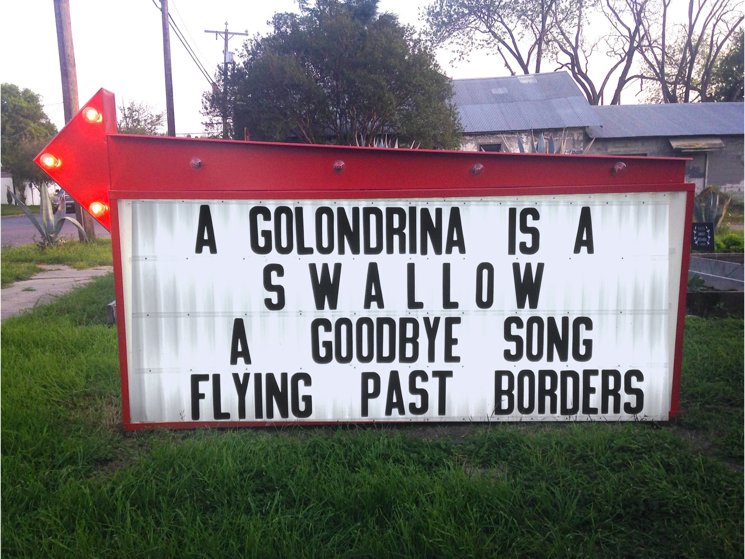 golondrina.jpg
