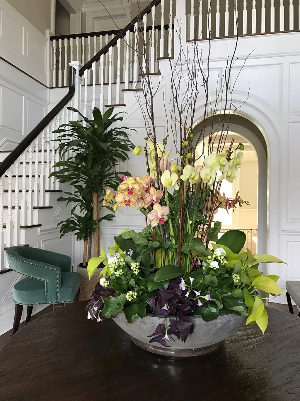 indoor potted arrangement.jpg
