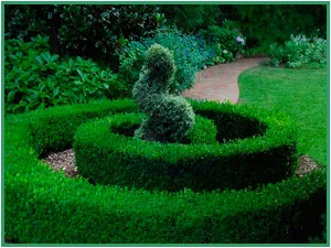 or adds a topiary.