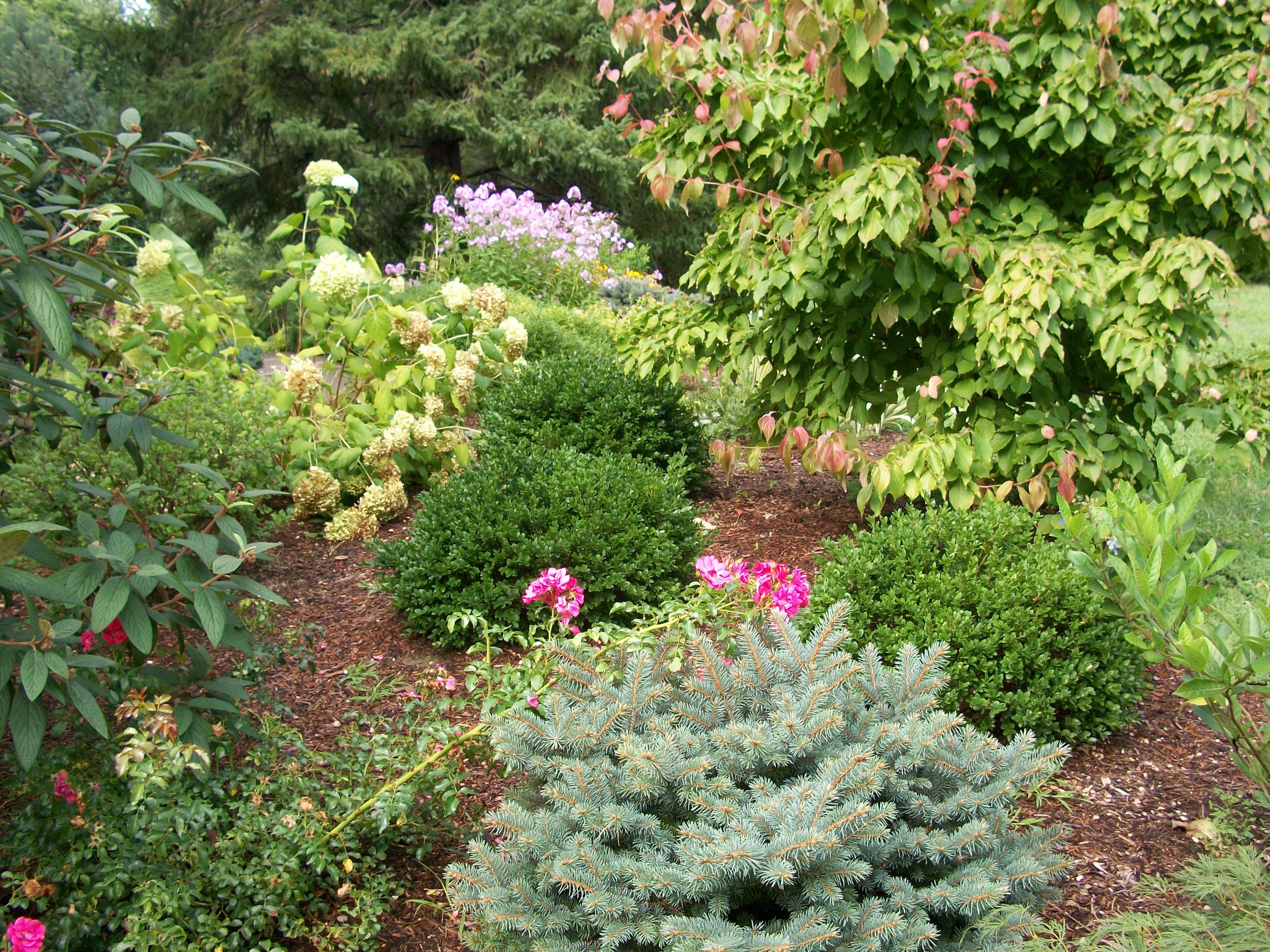 A.P., Scarsdale, NY