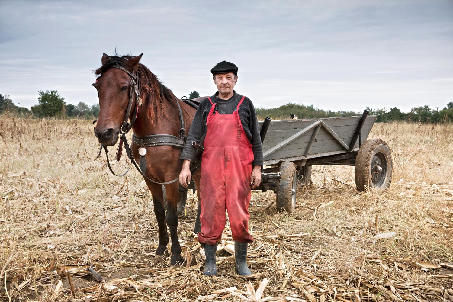 man with Horse Romania