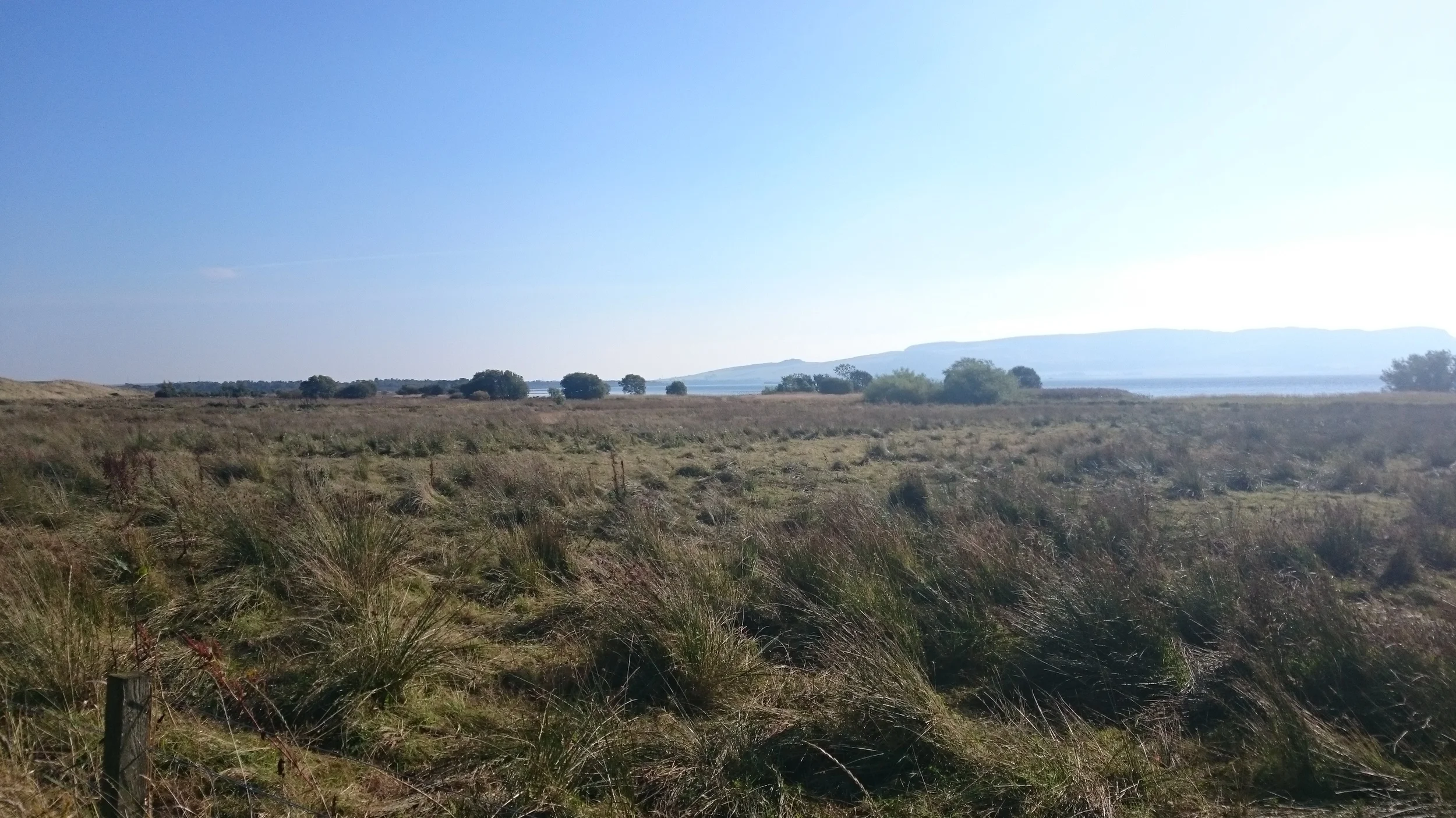 "Will ye no come wi' us?"