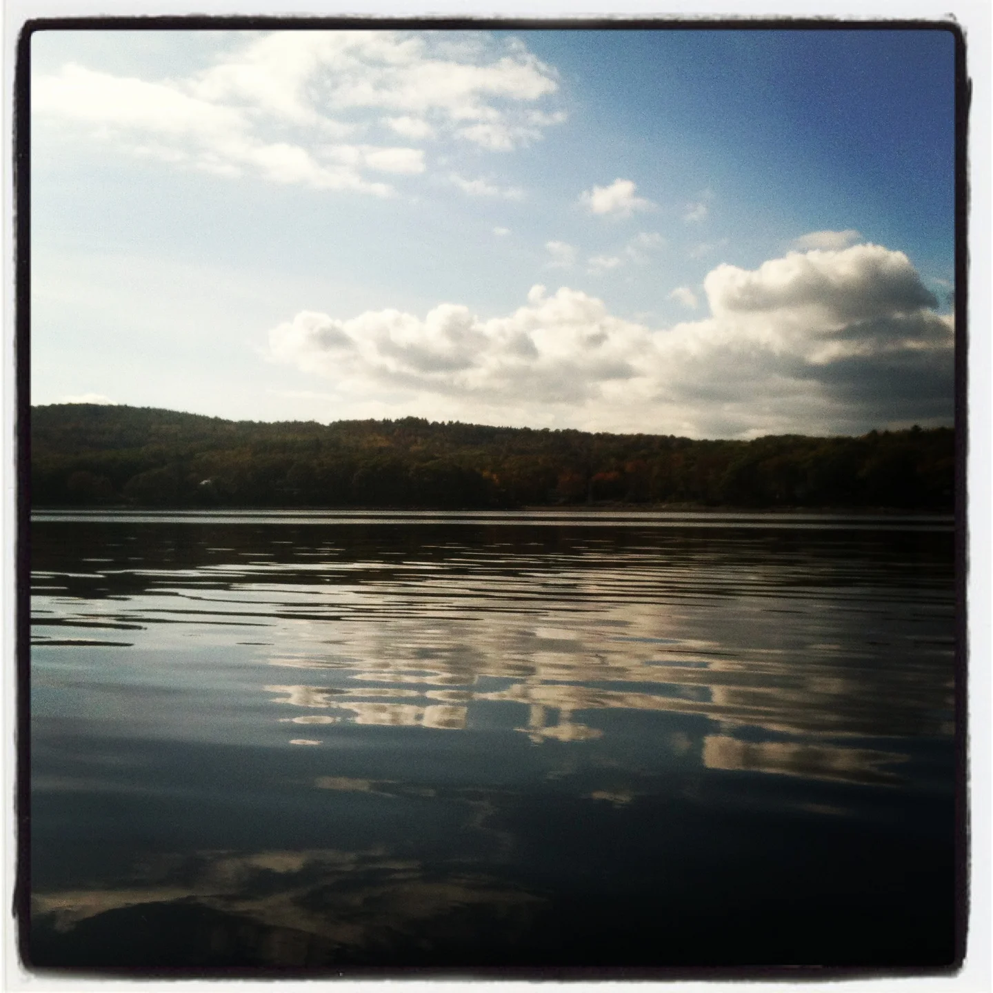 fallllllllllll 013.JPG