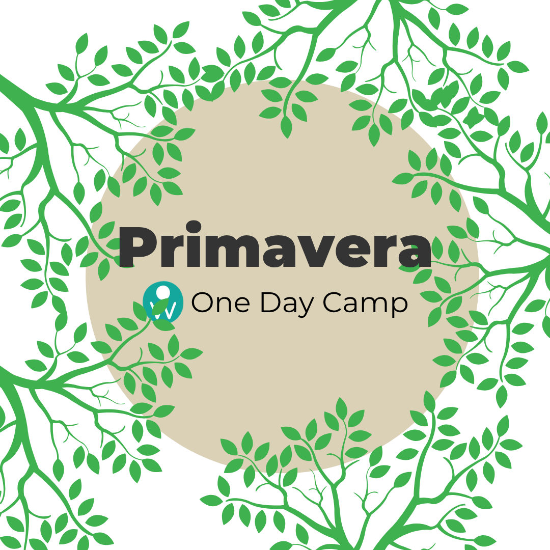 Primavera One Day Camp