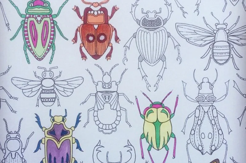 Å fargelegge små kryp kan være en ganske fin distraskjon. Jeg bruker boken Den hemmelige hage.