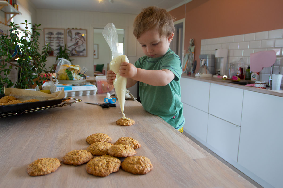magevennligmat_gulrotcookies.jpg