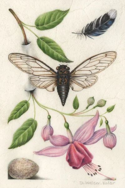 Hoef-#4-final-cropped-for-web.jpg