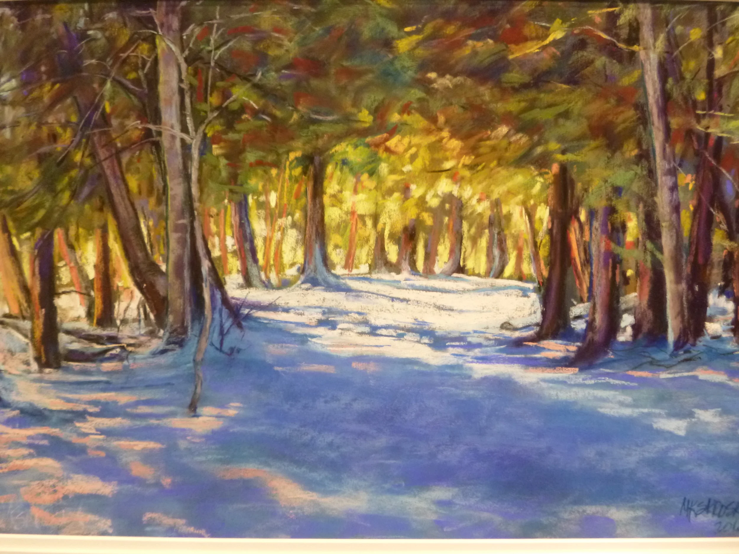 Sacred Cedars - Madeline Island   