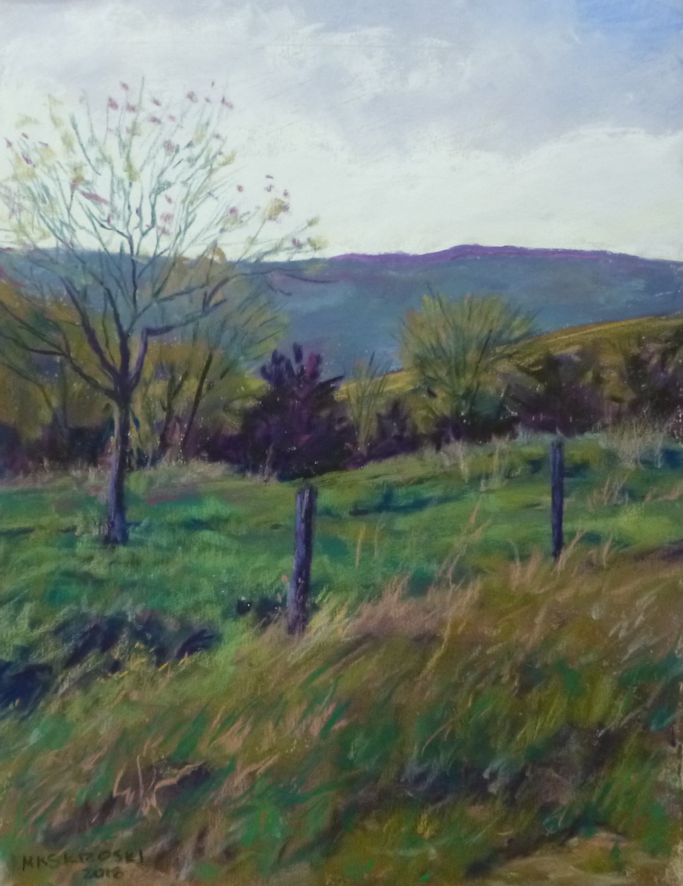 Arcadia Hills $275 - sold