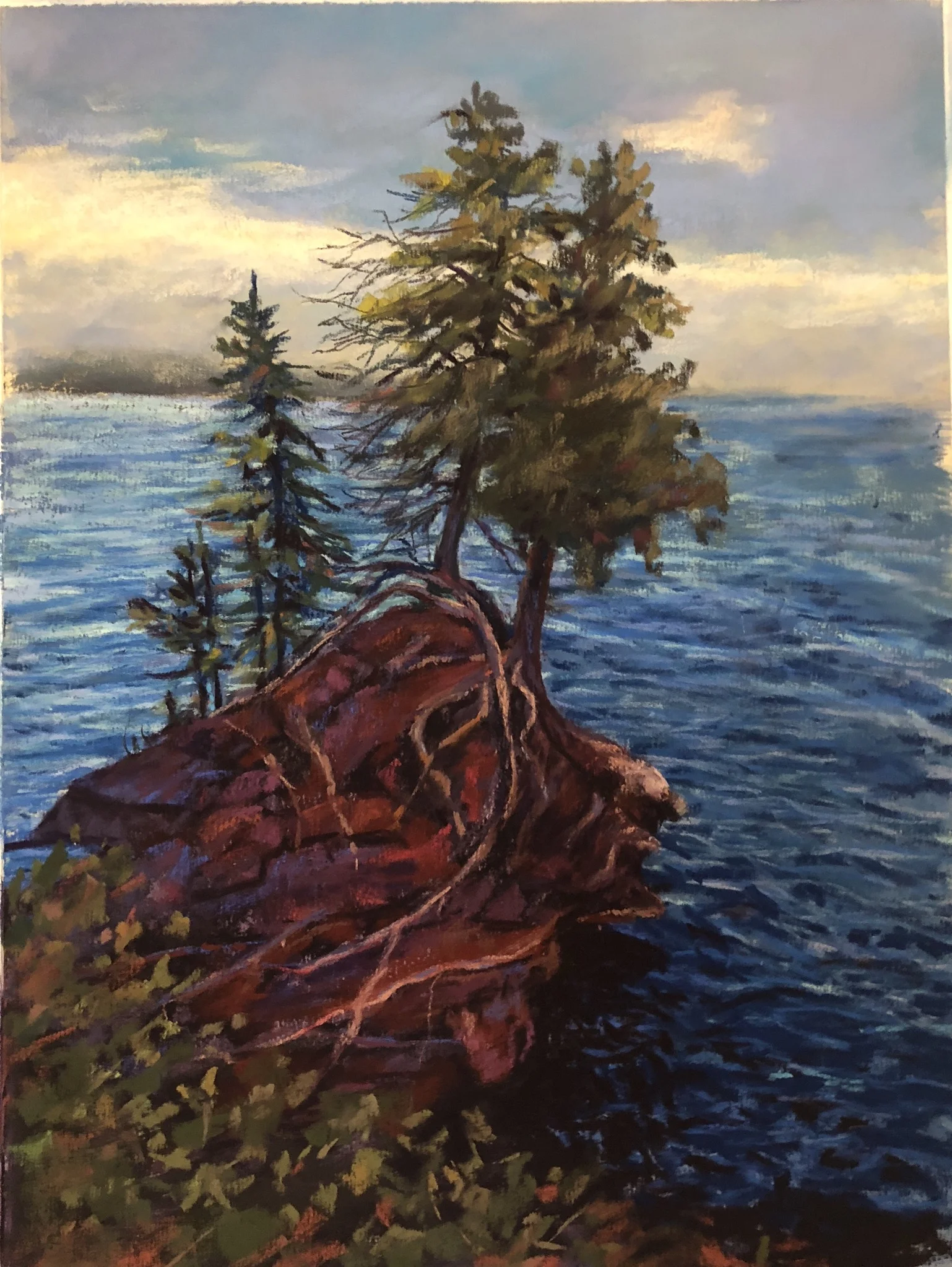 Island Roots $495