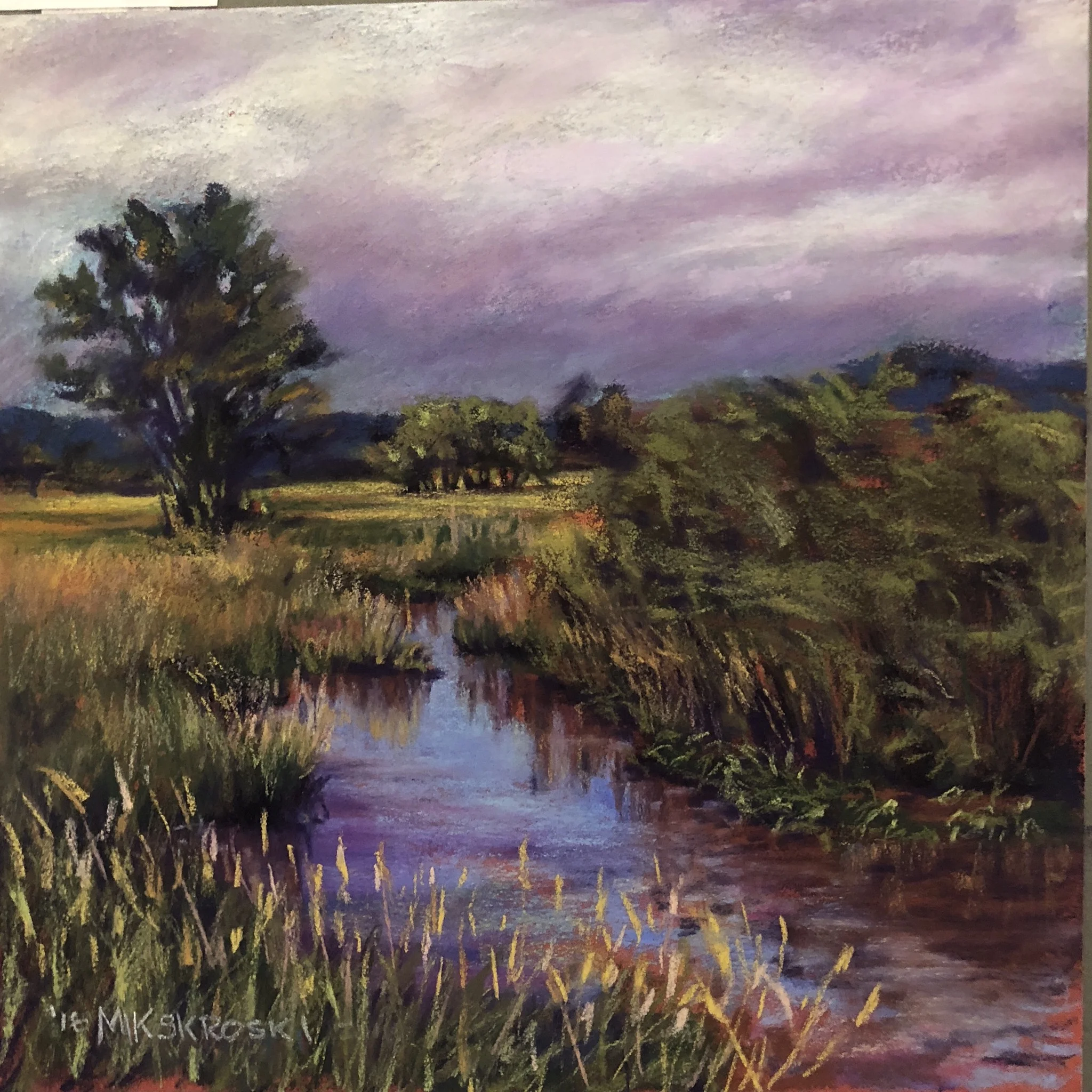 Yahara Marsh - sold